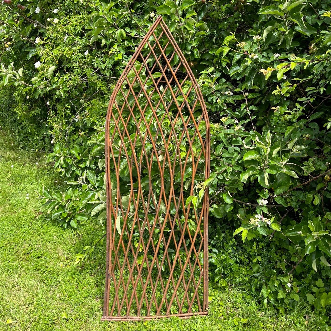 Pack of 3 Selections Willow Lattice Trellis With Gothic Top (120 x 45 Centimeter)