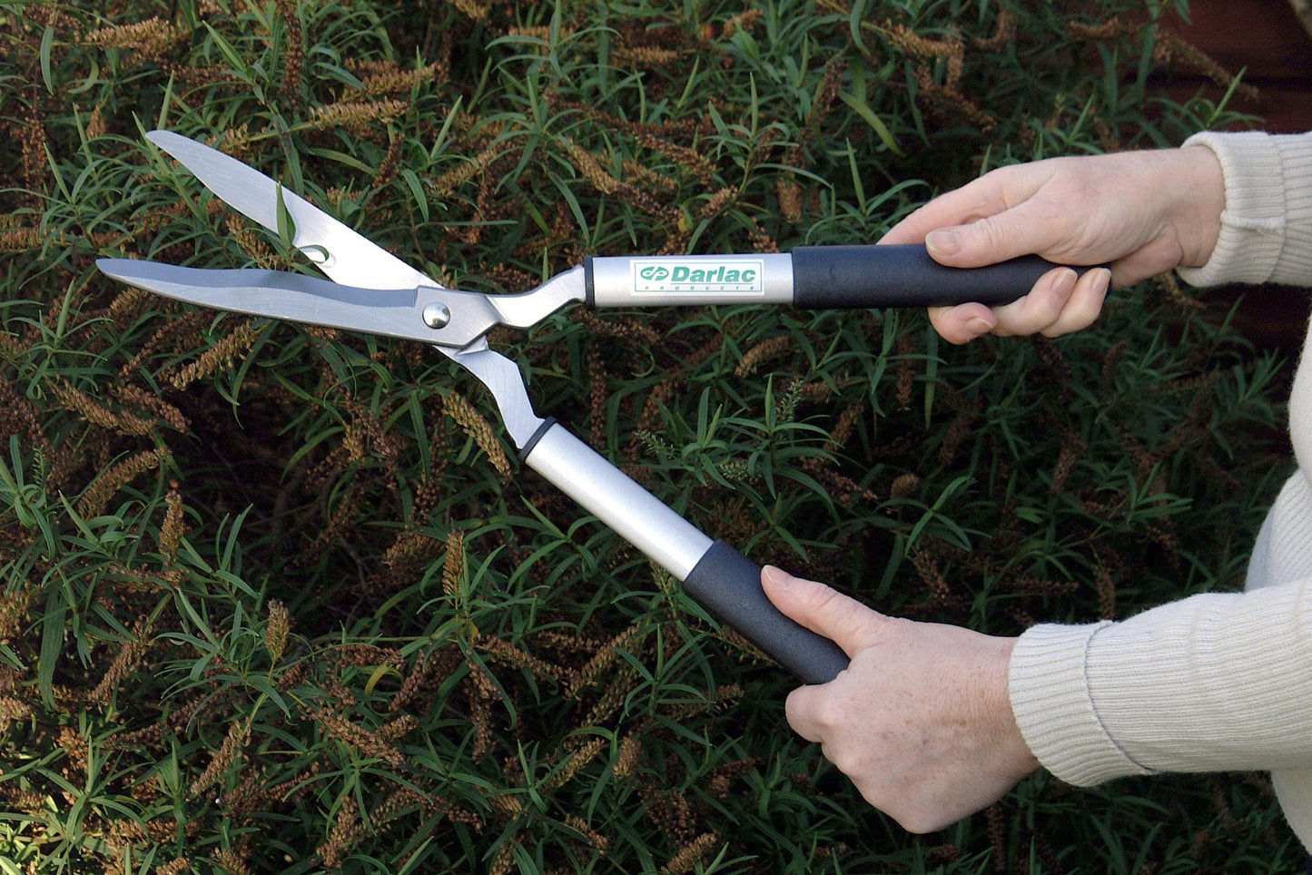 Darlac Lightweight Shear – Lightweight, Razor Sharp Garden Shears – Ideal for Precision Hedge Trimming & Topiary – Wavy Edged Carbon Steel Blades for Trapping Growth – Comfortable Grip – Easy to Use