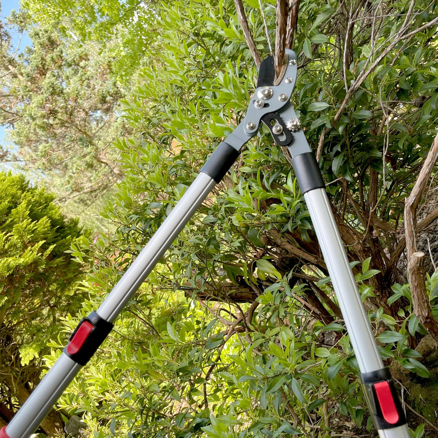 Darlac Telescopic Anvil Garden Loppers – Lightweight Action Loppers with Extendable Handles Ideal for Pruning Hard or Dead Wood - SK5 High Carbon Steel Blade