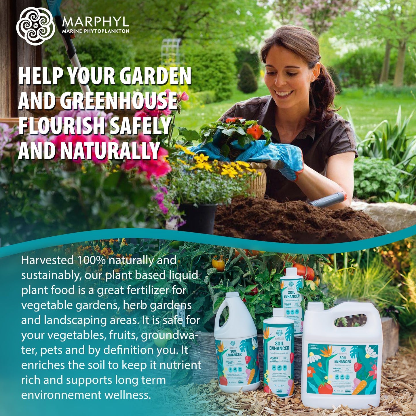 MARPHYL Organic Liquid Fertiliser - Indoor Plant Food - Nutrient rich Seaweed Liquid Fertilizer- All Purpose Liquid Fertiliser for indoor Plants, Flowers, Vegetables, Succulents, Bamboo, Hydroponics