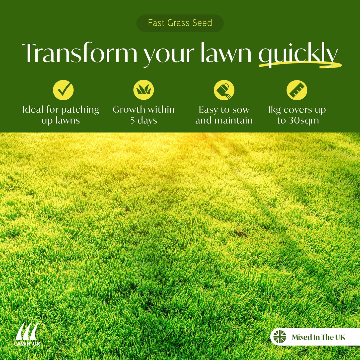 Fast Grass Seed Lawn UK - 5KG - Easy to sow - Fast to Grow & Germinate - 7-10 Days - Hardwearing - Affordable Price - for Small High Traffic Lawns - Quick Renovation