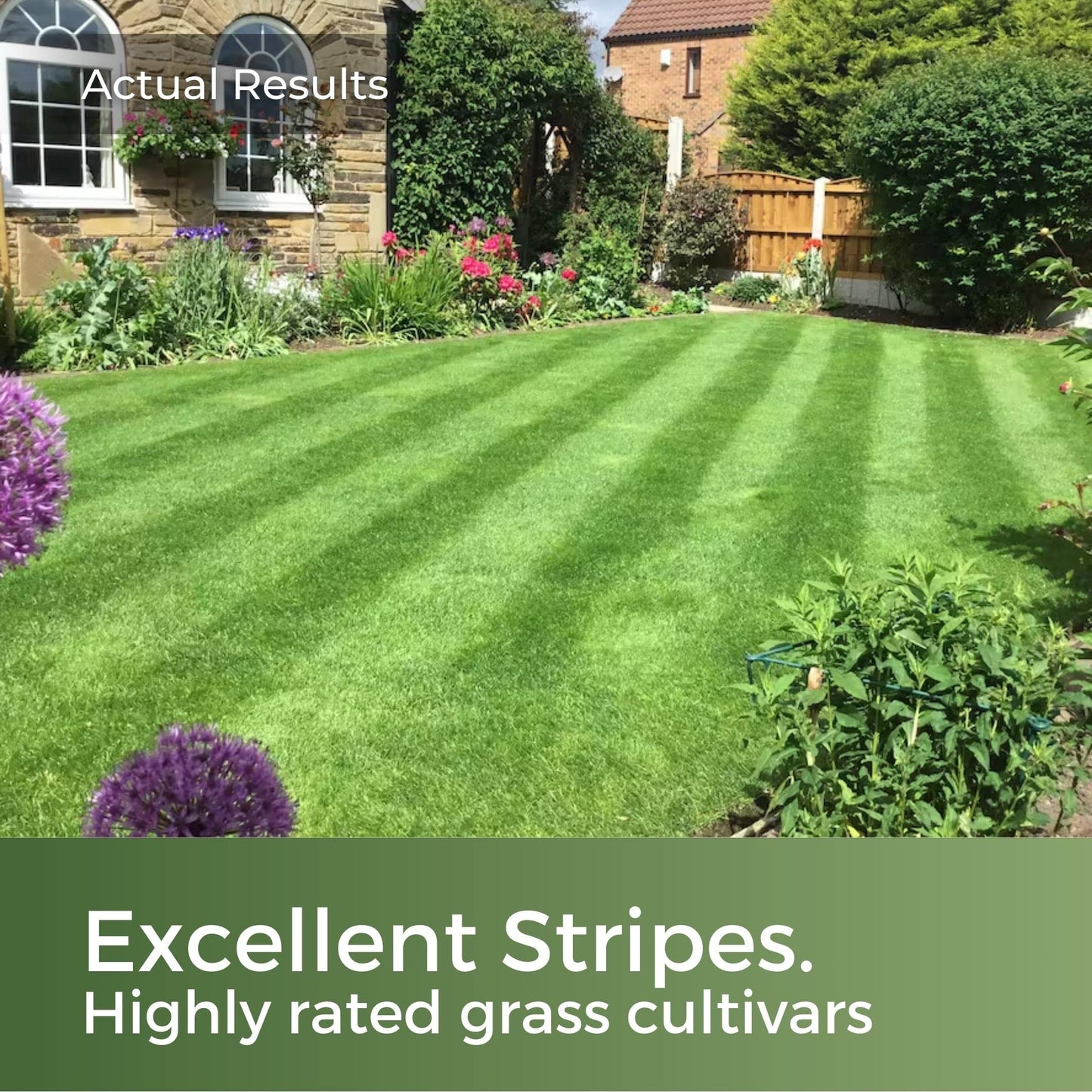 Pitch Perfect - Rye Grass Seed Sports Mix - Ultra Hard Wearing & Fast Growing - Garden Lawncare Guy 5kg