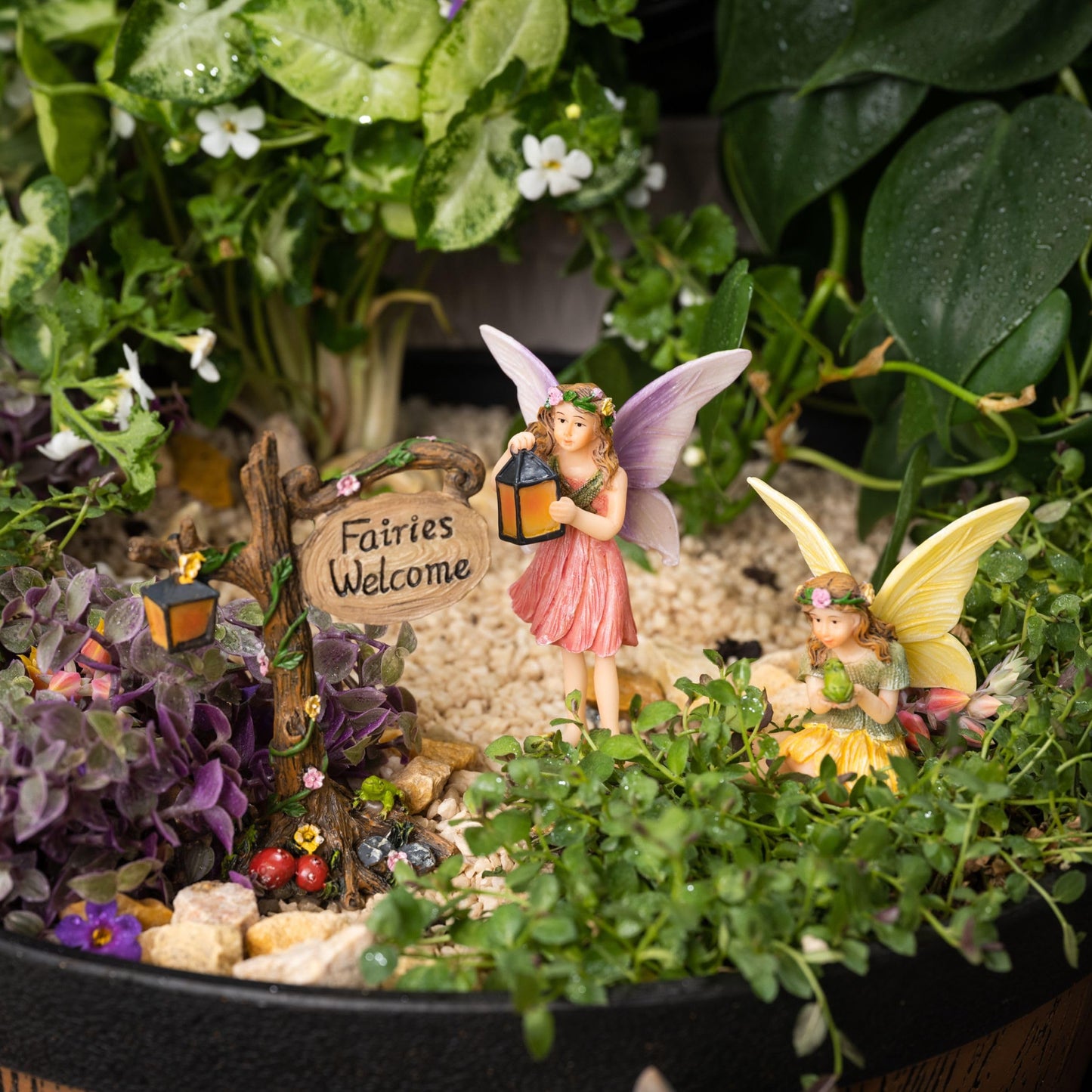 PRETMANNS Fairies for Fairy Garden - Fairy Garden Accessories - Fairy Garden Ornaments for Outdoor Miniature Fairy Garden - 2 Cute Fairy Figures for Fairy Garden & Fairy Sign - 3 Piece Fairy Set