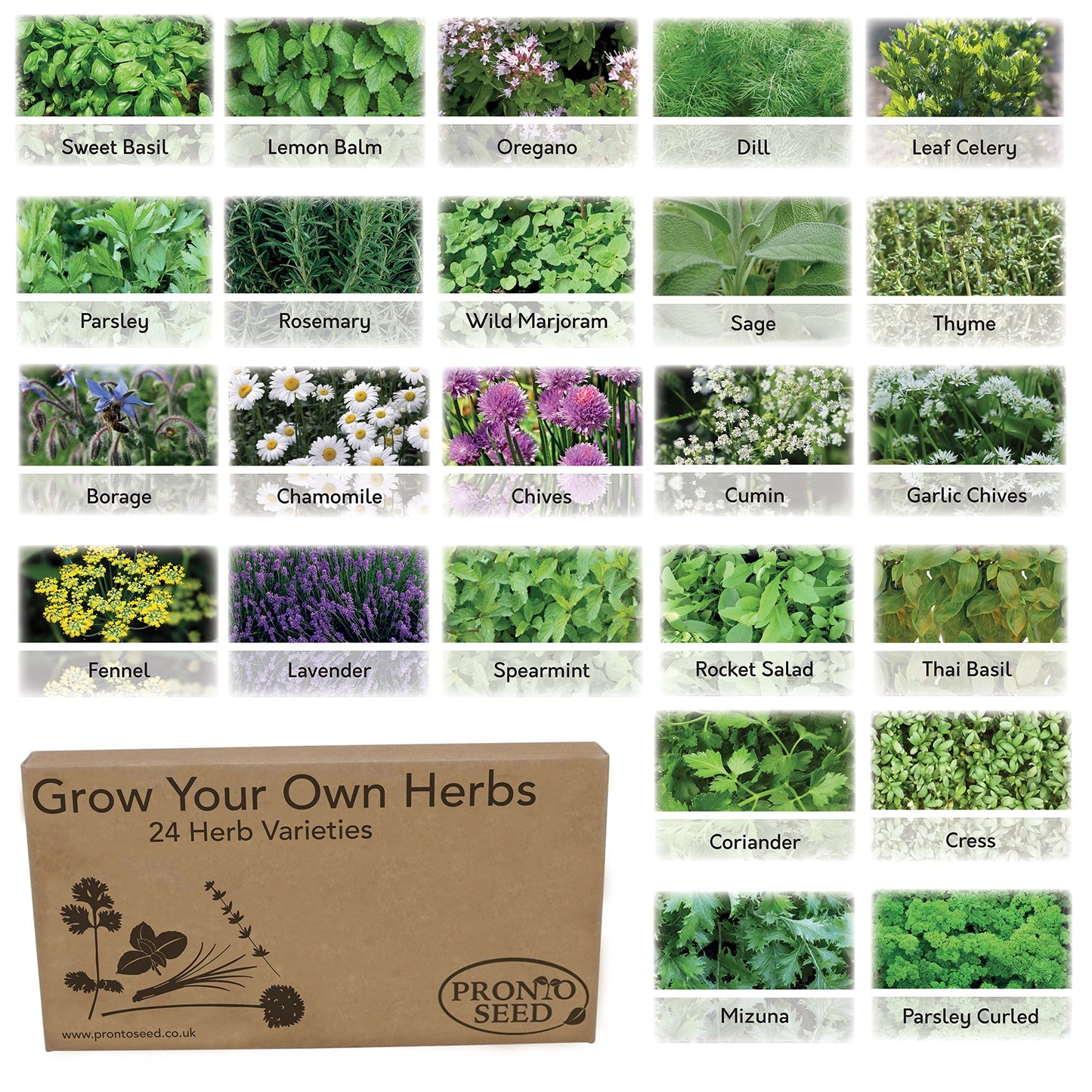 Pronto Seed Herb Bumper Pack - Grow Your Own Kit with 24 Herb Varieties - Aromatic, Mediterranean, Garden & Classic Herbs - Gardening Gift for Women and Men (Herb Pack)