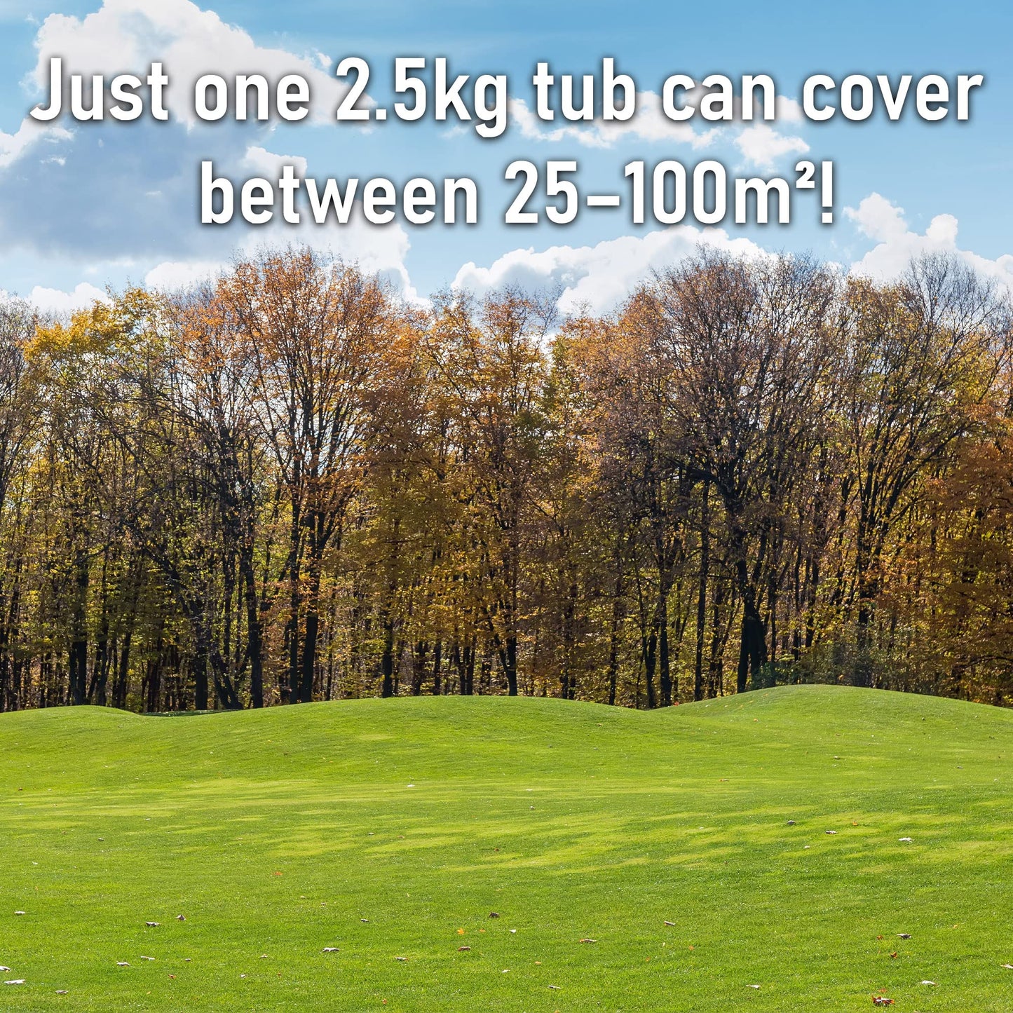 Pro-Kleen Spring and Autumn Lawn Feed - Fertiliser for Green Up & Plant Strength - Covers up to 100m2 - Prevents Lawn Disease & Lasts up to 6 Weeks (2.5kg)