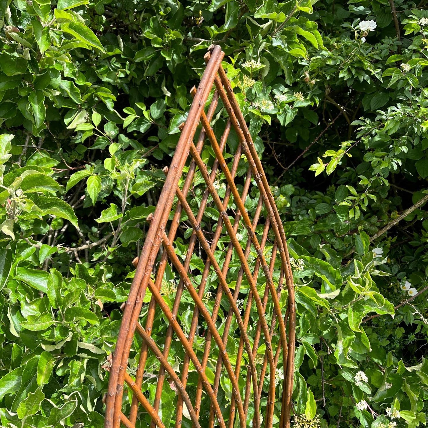 Pack of 3 Selections Willow Lattice Trellis With Gothic Top (120 x 45 Centimeter)