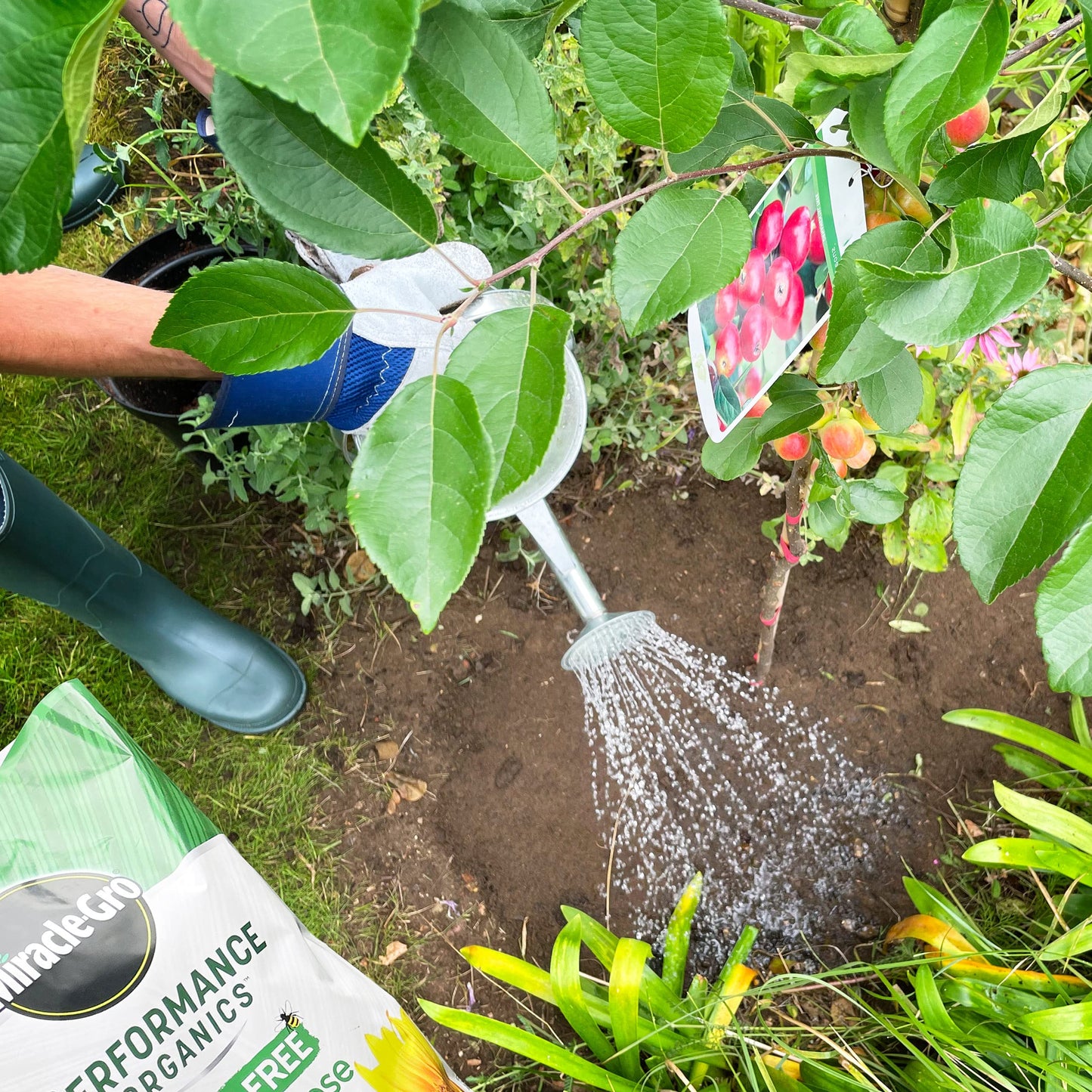 Miracle-Gro Performance Organics All Purpose PEAT FREE Compost, 40L