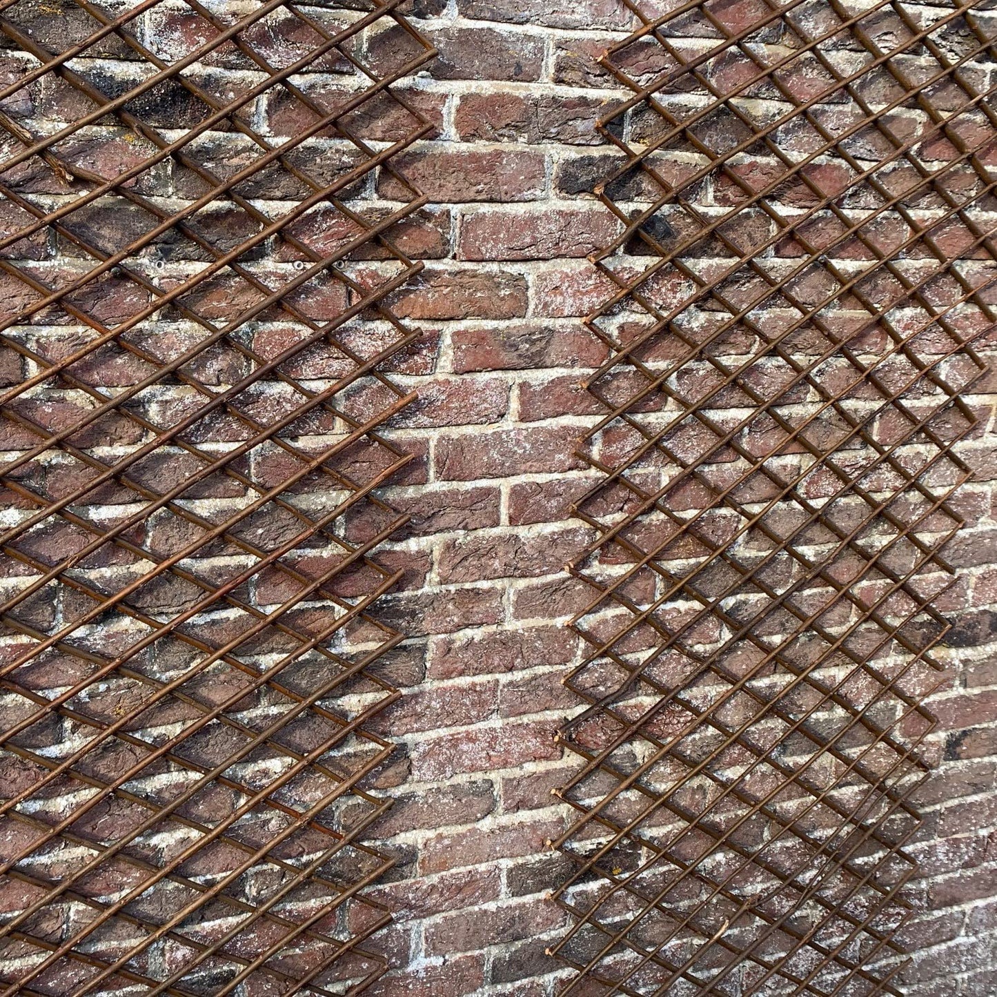 Selections Pack of 2 Expanding Willow Fan Garden Wall Trellis (180 x 60 Centimeter)