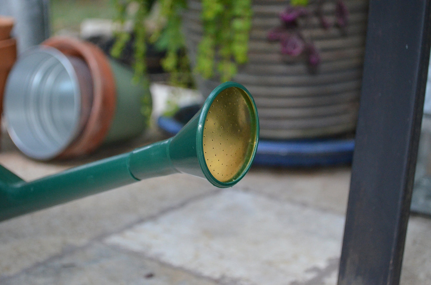 HAWS The Sutton Splash Outdoor/Indoor Garden Watering Can | Green | 1/2 Gallon | Long Reach Spout | Interchangeable Plastic Round Rose | Three Year Guarantee