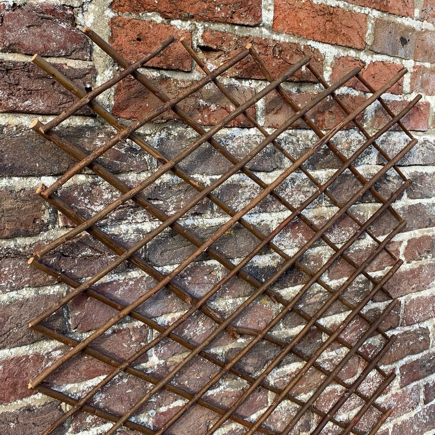 Selections Pack of 2 Expanding Willow Fan Garden Wall Trellis (180 x 60 Centimeter)