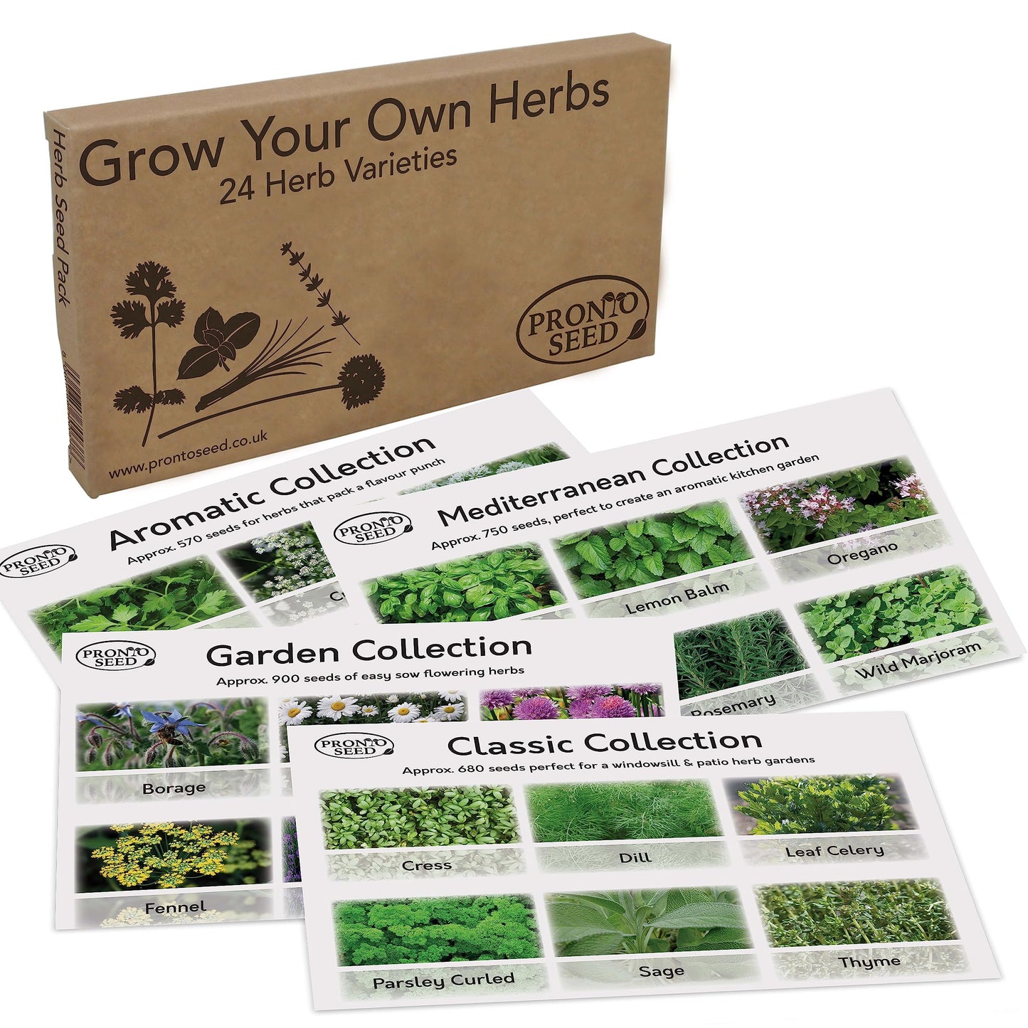 Pronto Seed Herb Bumper Pack - Grow Your Own Kit with 24 Herb Varieties - Aromatic, Mediterranean, Garden & Classic Herbs - Gardening Gift for Women and Men (Herb Pack)
