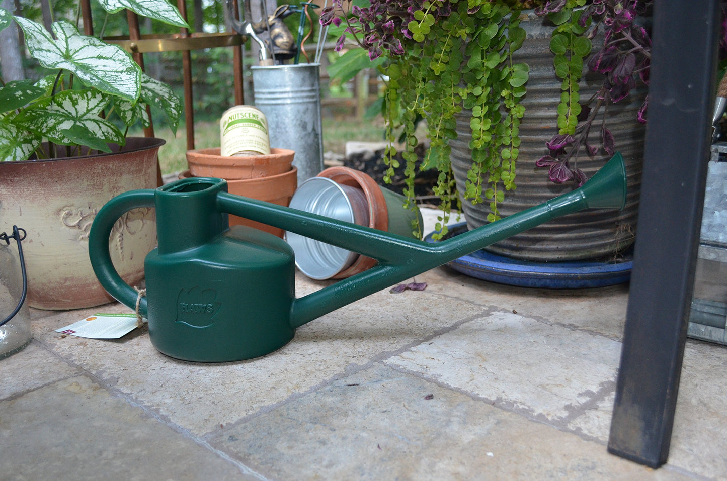 HAWS The Sutton Splash Outdoor/Indoor Garden Watering Can | Green | 1/2 Gallon | Long Reach Spout | Interchangeable Plastic Round Rose | Three Year Guarantee