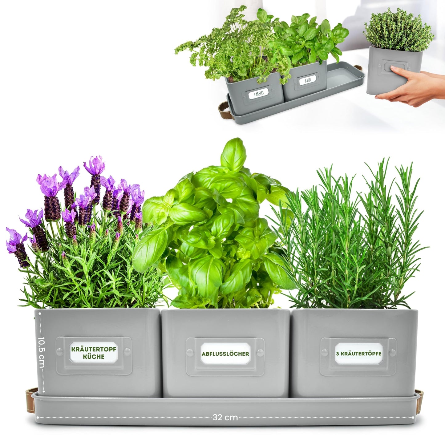 Green Thumbz Herb Pots for Kitchen Windowsill - Set of 3 Charcoal Grey Herb Planter Indoor with Leather Handled Tray - Ideal for an Indoor Herb Garden, Plants and Flowers - Labels Included