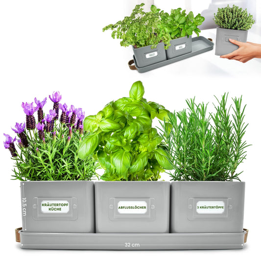 Green Thumbz Herb Pots for Kitchen Windowsill - Set of 3 Charcoal Grey Herb Planter Indoor with Leather Handled Tray - Ideal for an Indoor Herb Garden, Plants and Flowers - Labels Included