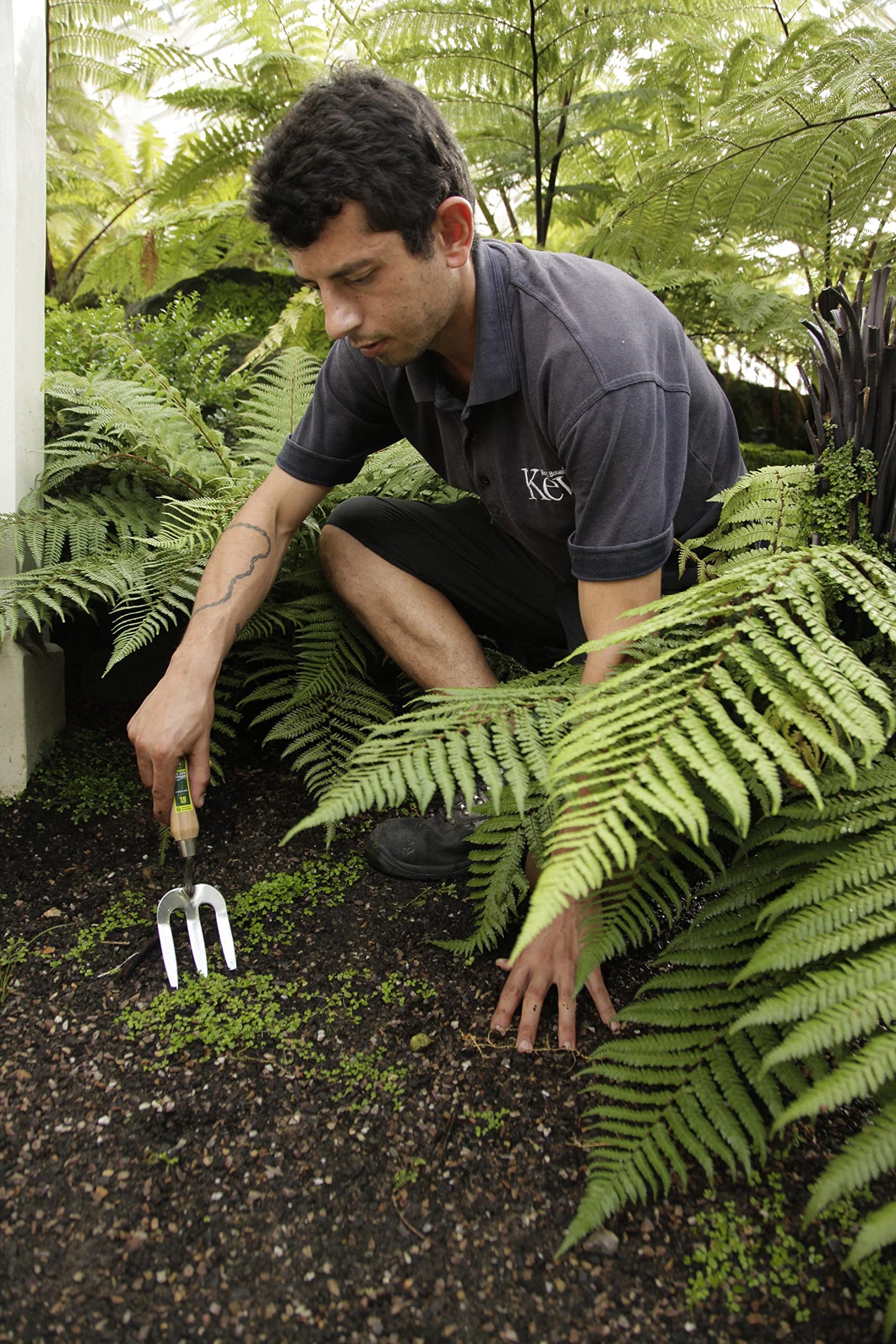 Spear & Jackson 3060KEW Kew Gardens Collection Neverbend Stainless Weedfork, Blue