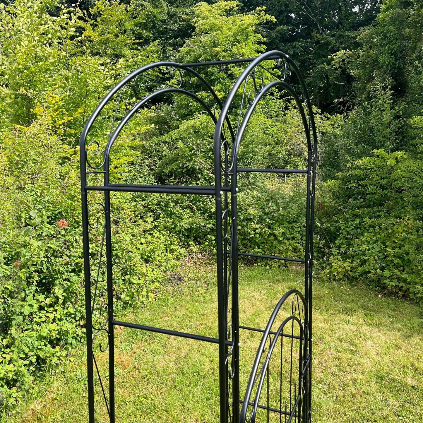 Selections Metal Windsor Garden Arch with Gate and Fixing Pegs