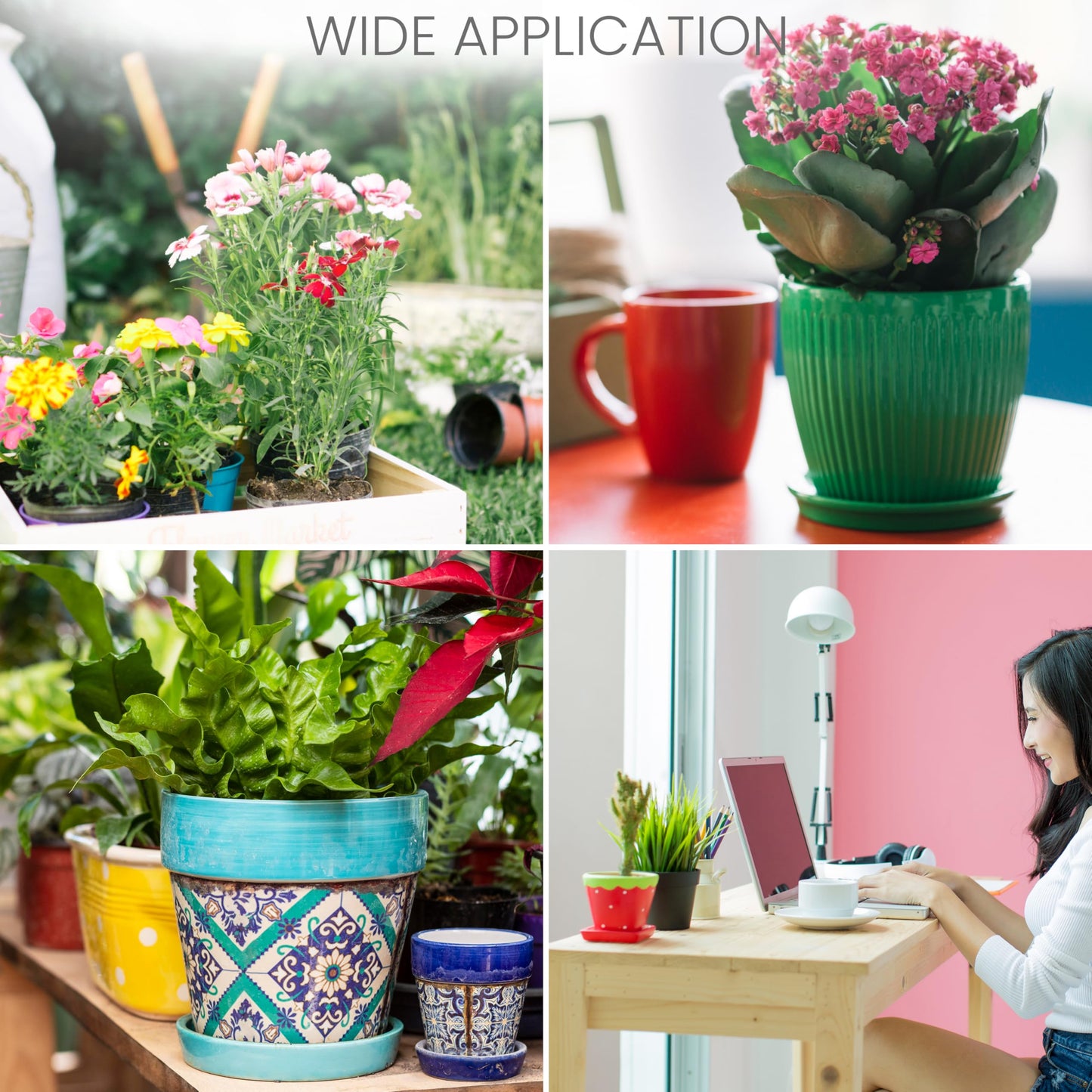 BELLE VOUS 150 Pack Square Plastic Plant Nursery Pots - 6.5 x 6.5 x 6.2cm / 2.5 x 2.5 x 2.4 inches - Durable Flower/Seedling Containers for Succulents, Vegetables, Gardens/Indoors and Seed Starting