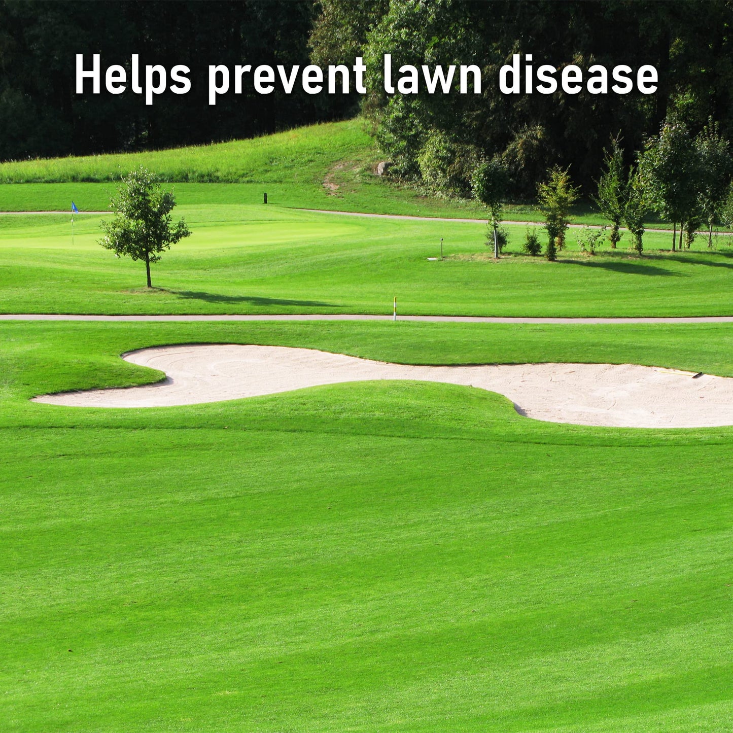 Pro-Kleen Spring and Autumn Lawn Feed - Fertiliser for Green Up & Plant Strength - Covers up to 100m2 - Prevents Lawn Disease & Lasts up to 6 Weeks (2.5kg)