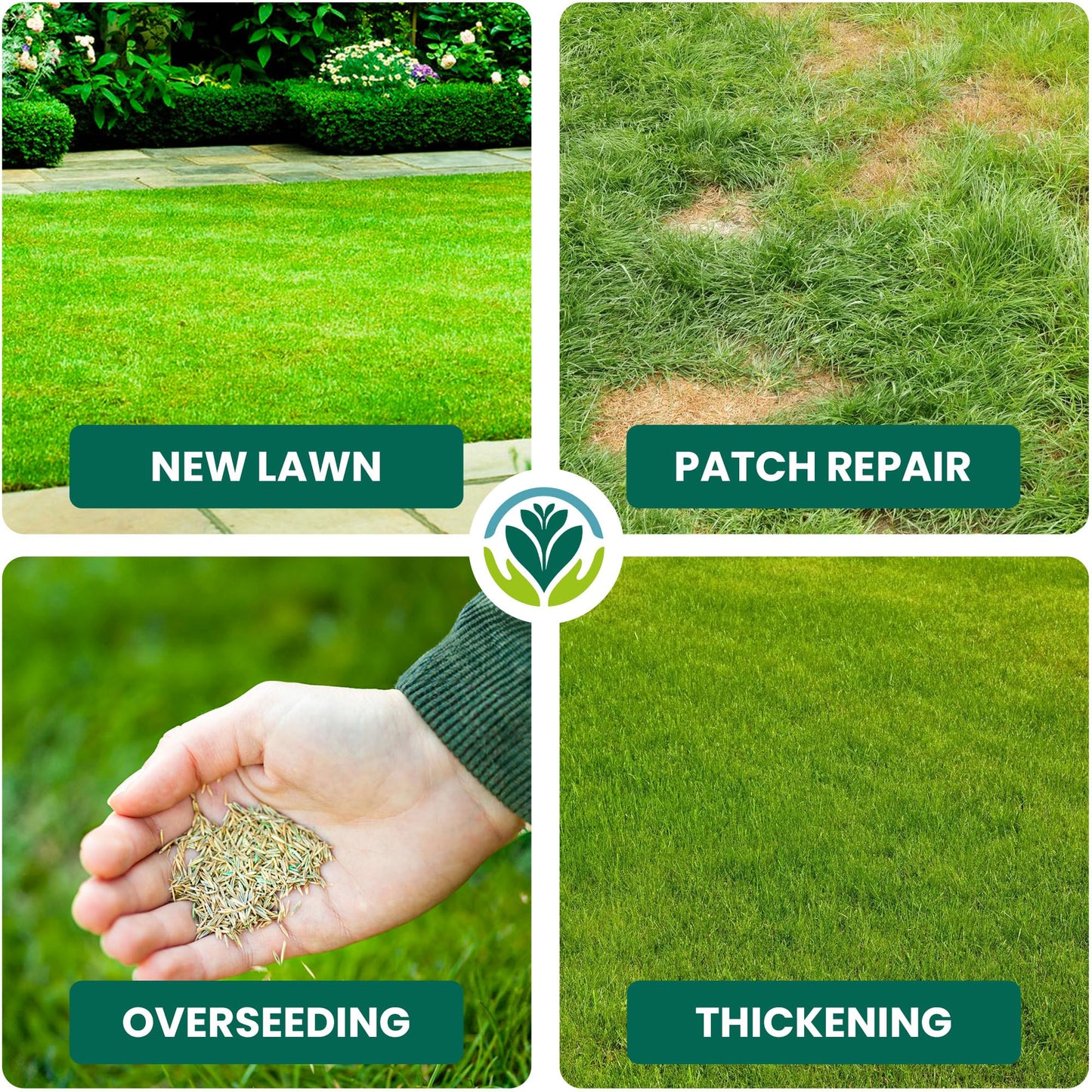 GardenersDream 5KG Premium Hard Wearing Grass Seed - Fast Growing Grass Seeds for New Lawns & Patch Repair - Covers up to 300M2 for Overseeding