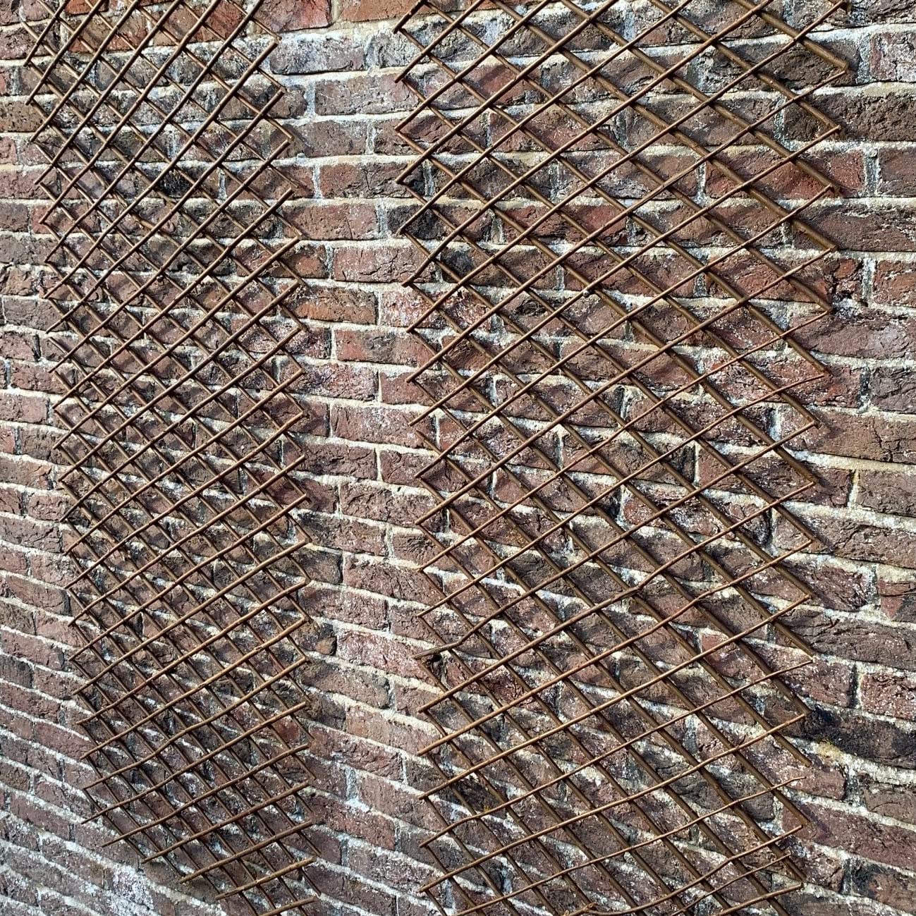 Selections Pack of 2 Expanding Willow Fan Garden Wall Trellis (180 x 60 Centimeter)