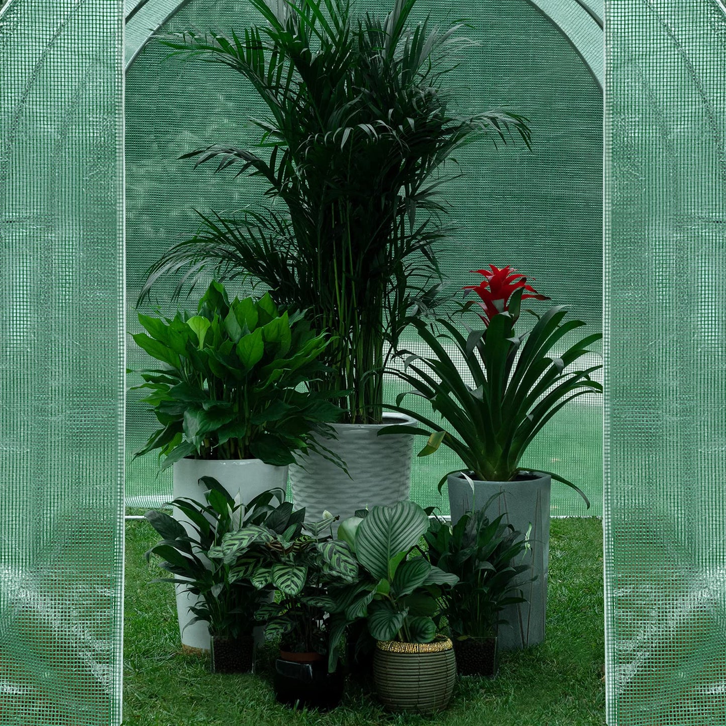 WOLTU Garden Greenhouse, Polytunnel removable PE Cover 140gsm, Walk in Grenn house outdoor, Plant Shelter with 6 Windows and 1 Zippered Roll-up Door, 200x300x200cm,