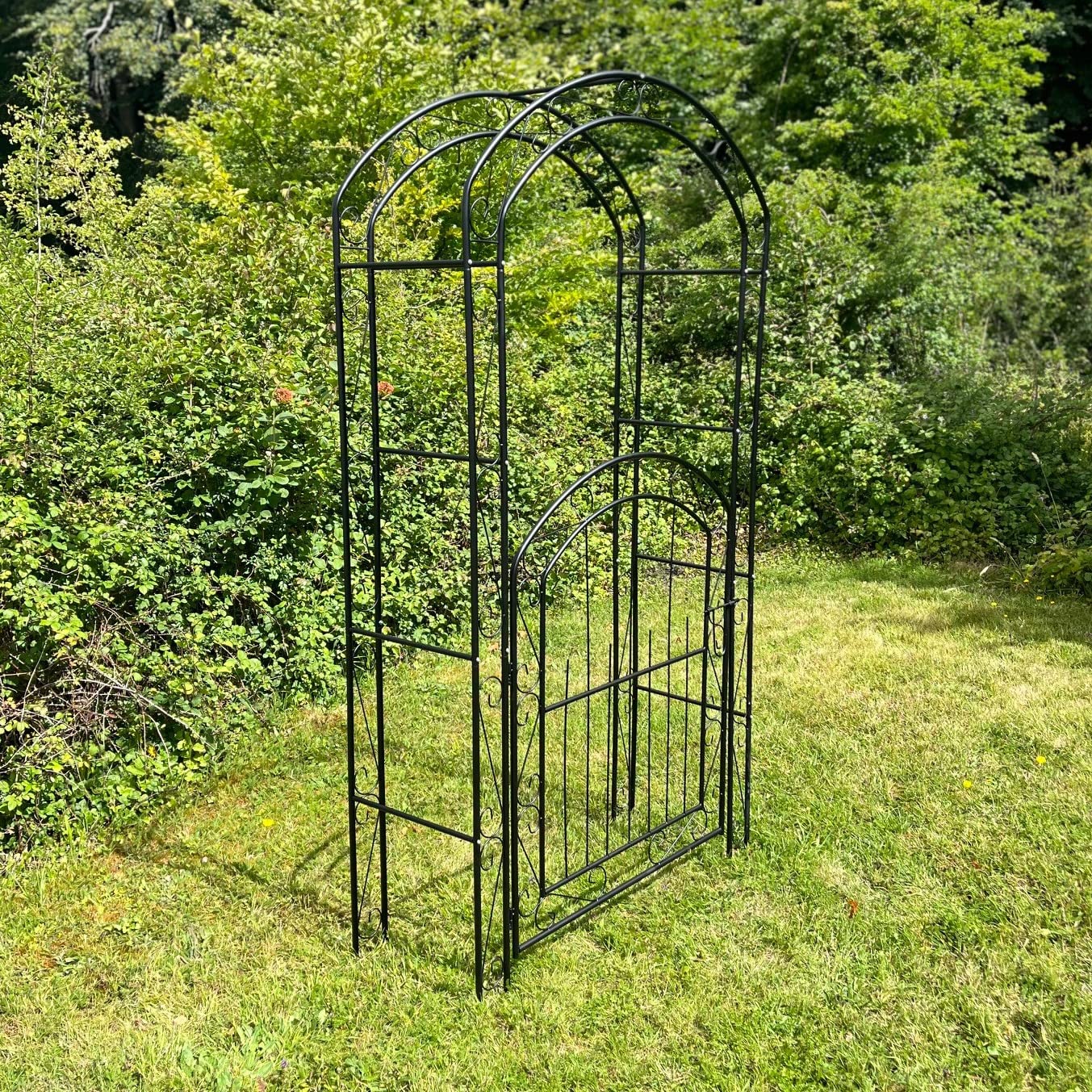 Selections Metal Windsor Garden Arch with Gate and Fixing Pegs