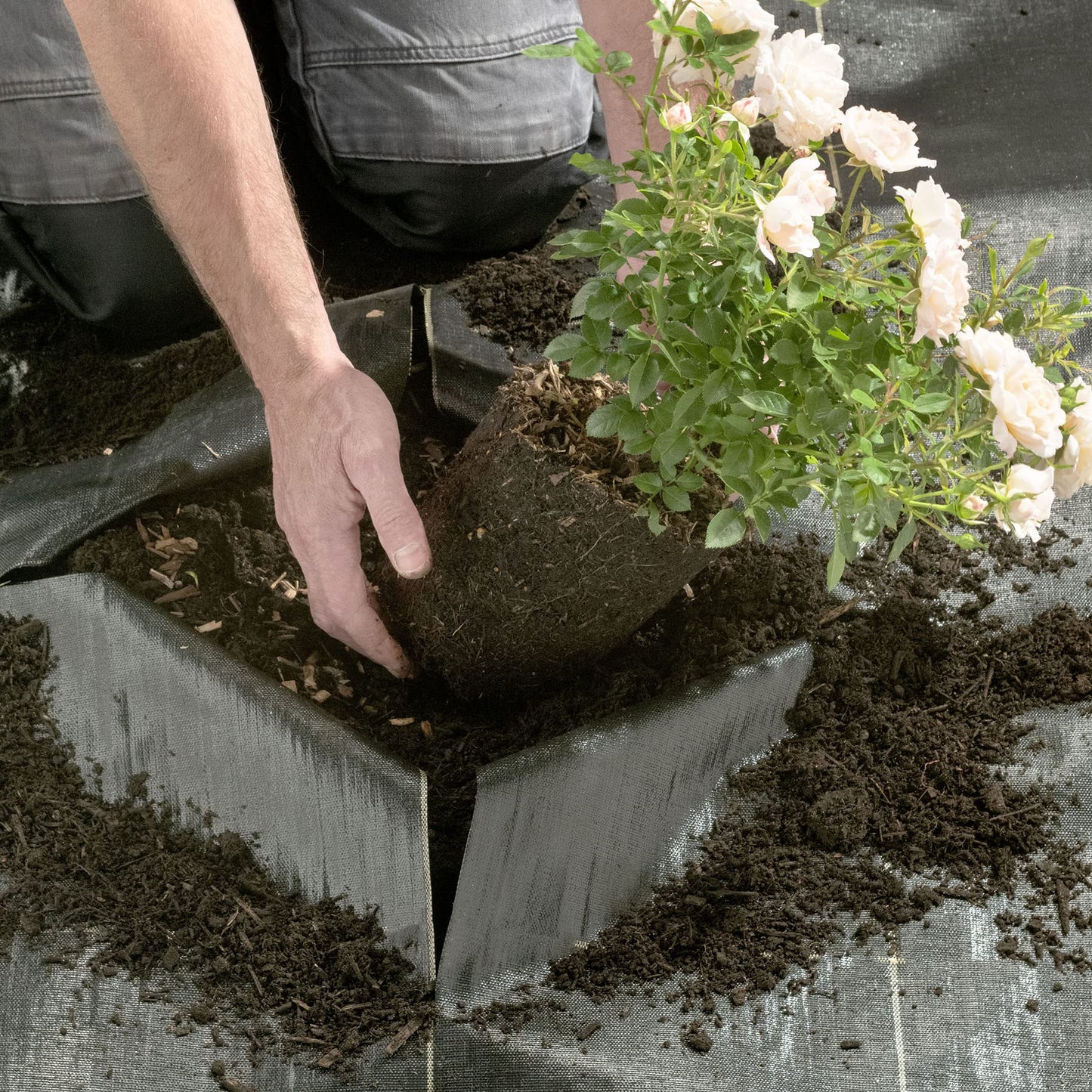 Pro-Tec Garden Products 125gsm Gold-Line EXTRA HEAVY DUTY 1m, 2m, 4m Wide Weed Control Fabric Landscape Ground Cover Membrane Barrier Sheet (GOLD 4m x 5m)