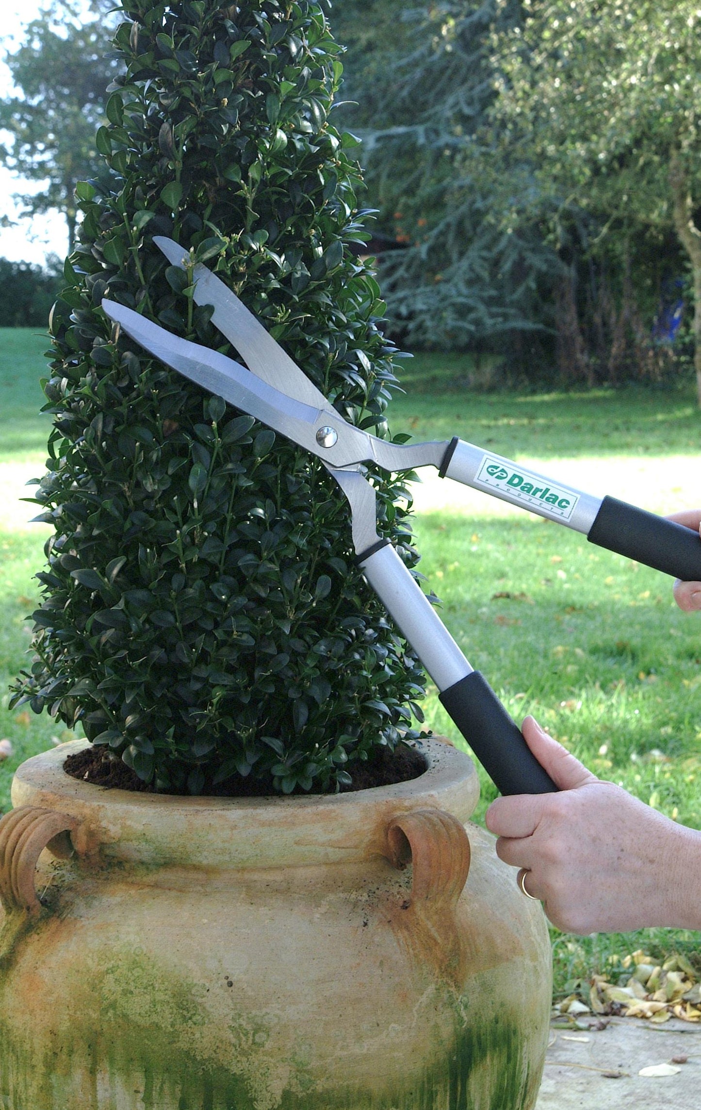 Darlac Lightweight Shear – Lightweight, Razor Sharp Garden Shears – Ideal for Precision Hedge Trimming & Topiary – Wavy Edged Carbon Steel Blades for Trapping Growth – Comfortable Grip – Easy to Use