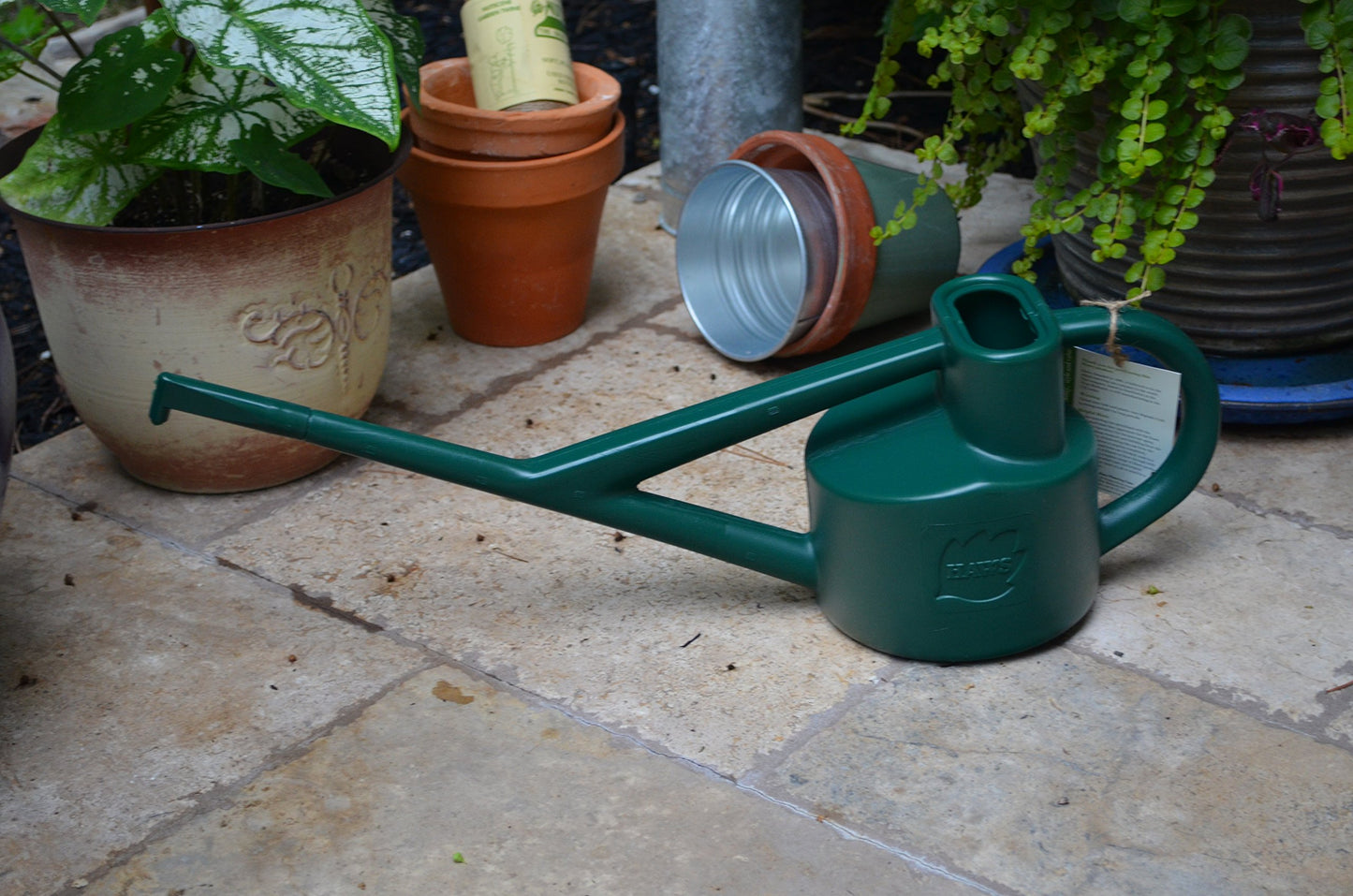 HAWS The Sutton Splash Outdoor/Indoor Garden Watering Can | Green | 1/2 Gallon | Long Reach Spout | Interchangeable Plastic Round Rose | Three Year Guarantee