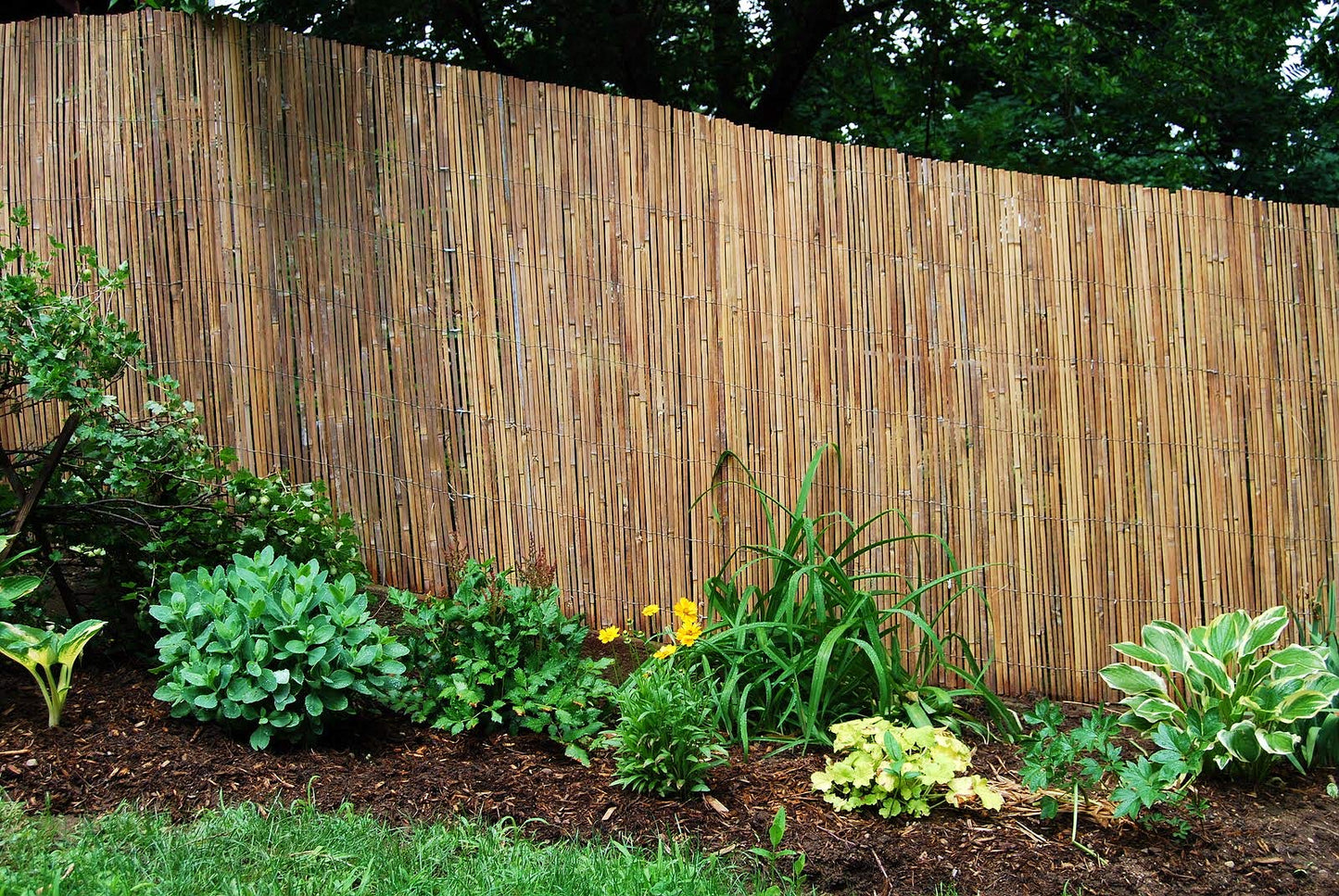 Abaseen Natural Bamboo Garden Fence Covering, Outdoor Privacy Slat Screening (1m x 4m)