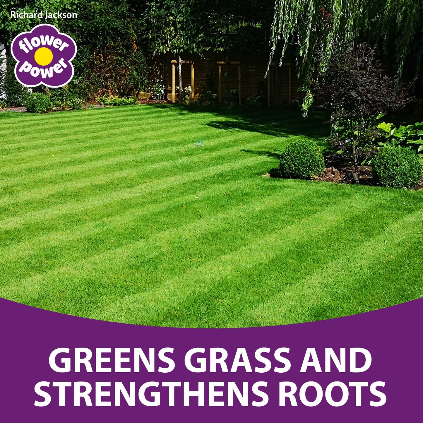 Richard Jackson Flower Power Premium Lawn Magic, Covers 500m, Lawn Feed for Gardens, Greens the Grass & Strengthens the Roots (5L)