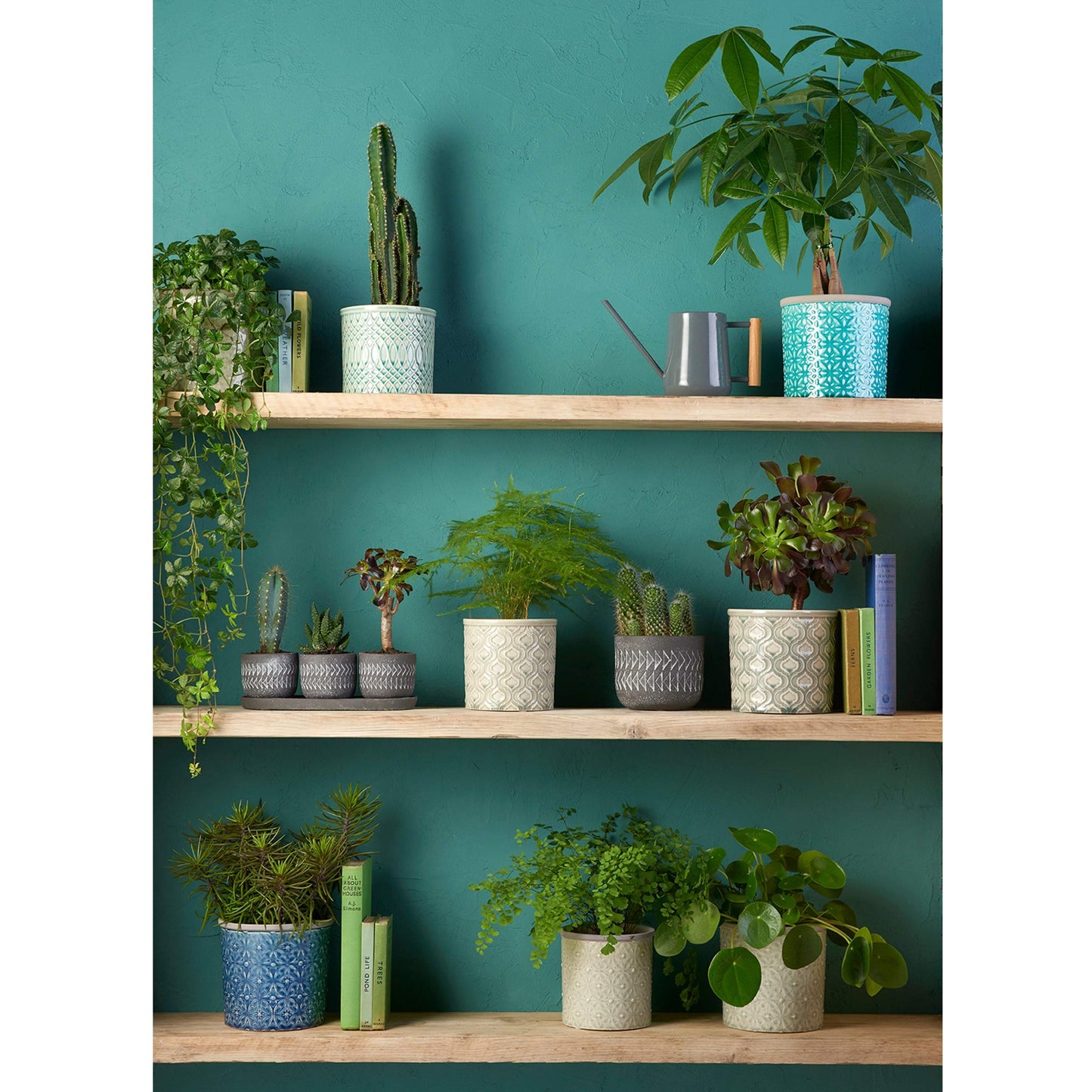 Burgon & Ball Indoor Watering Can, 0.7 Litre Capacity, Charcoal Grey