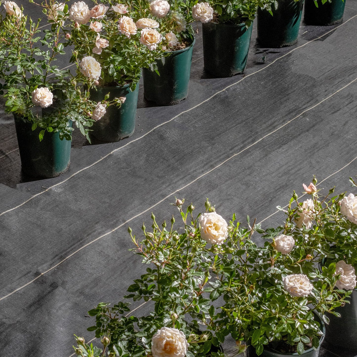 Pro-Tec Garden Products 125gsm Gold-Line EXTRA HEAVY DUTY 1m, 2m, 4m Wide Weed Control Fabric Landscape Ground Cover Membrane Barrier Sheet (GOLD 4m x 5m)