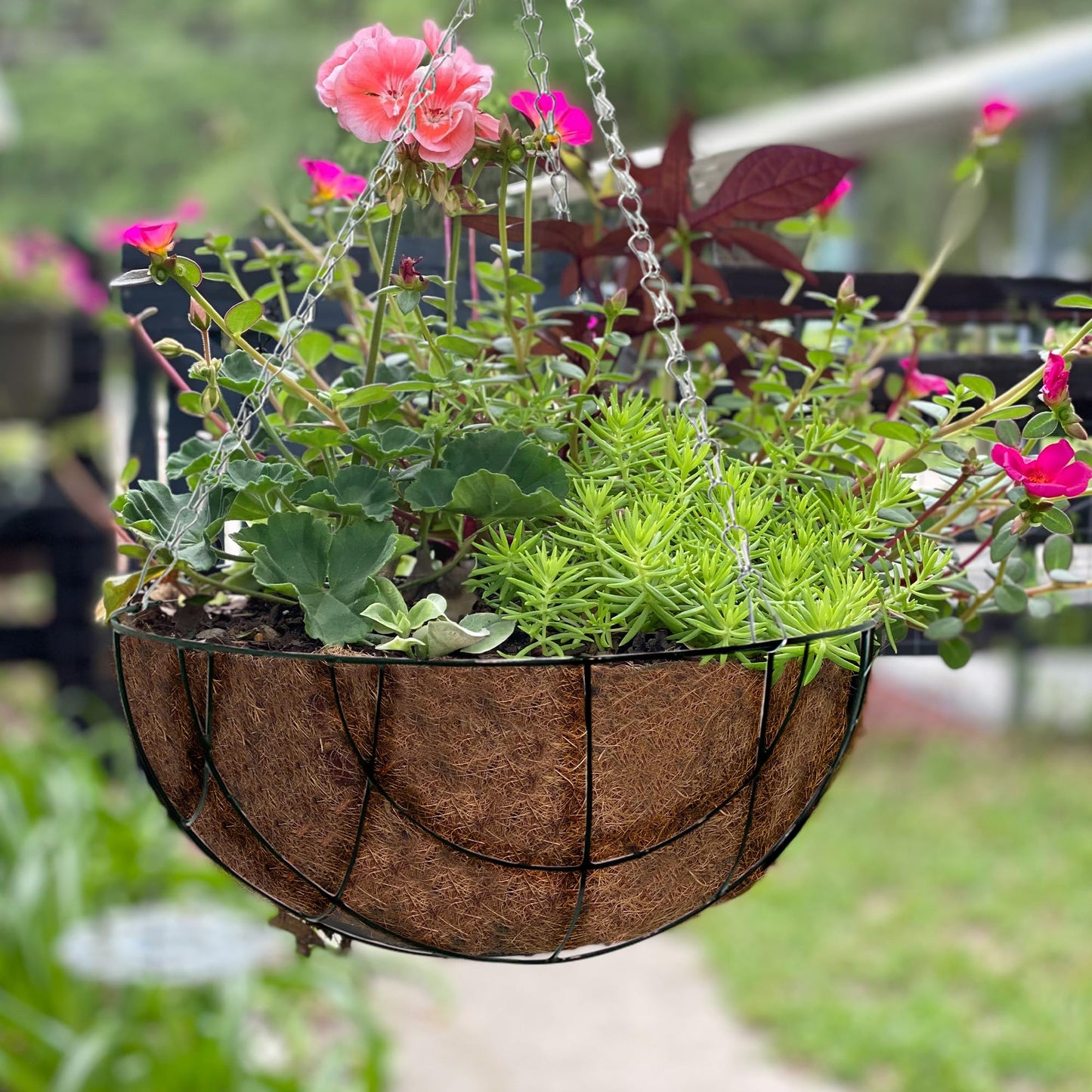 BARGAINSGALORE Set of 2 Natural Hanging Basket - Decorative Flower Plant Pot, Garden | Flower Plant, Pot Garden for Indoor & Outdoor, Home, Garden, Patio, Balcony