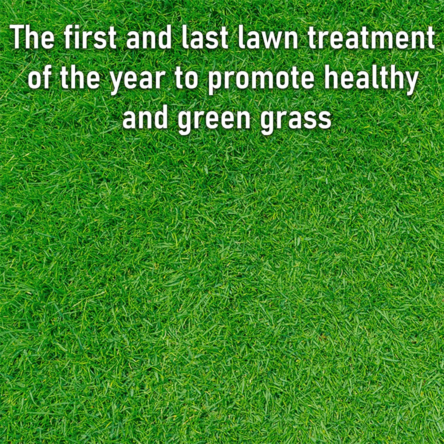 Pro-Kleen Spring and Autumn Lawn Feed - Fertiliser for Green Up & Plant Strength - Covers up to 100m2 - Prevents Lawn Disease & Lasts up to 6 Weeks (2.5kg)