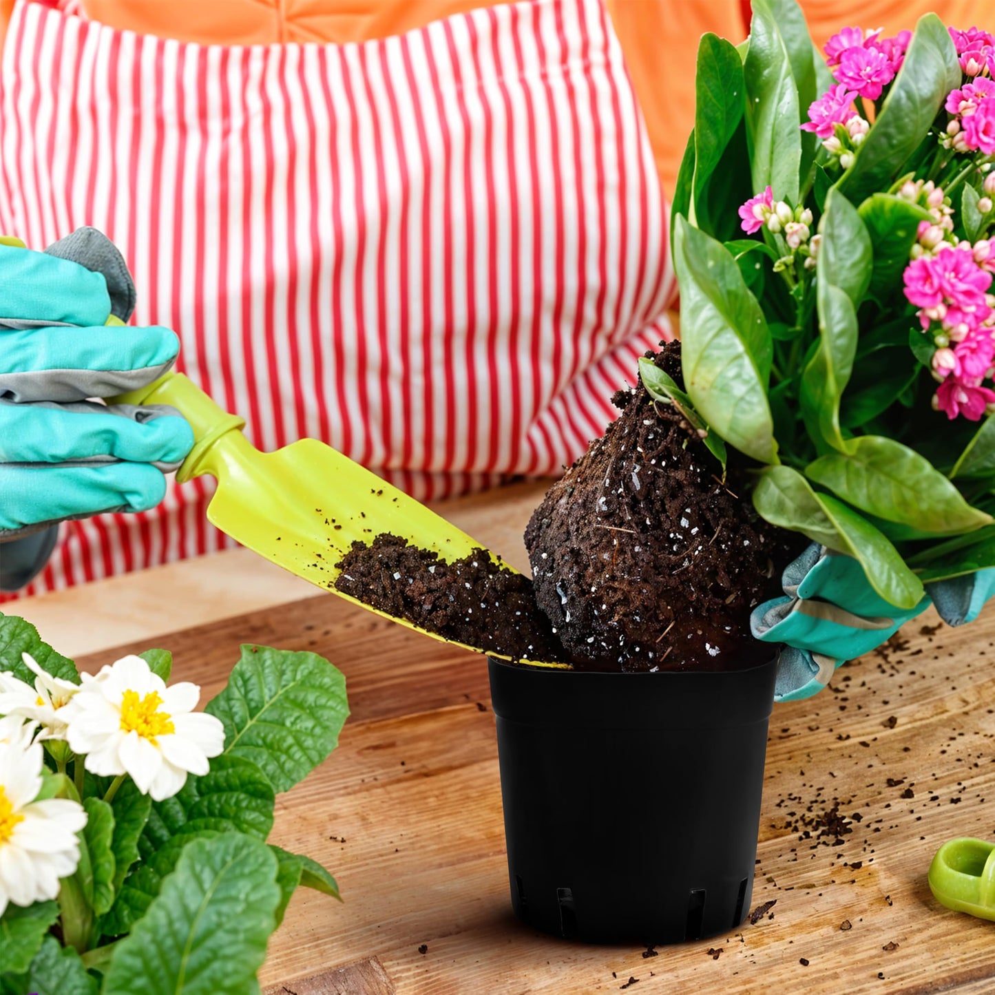 BELLE VOUS 150 Pack Square Plastic Plant Nursery Pots - 6.5 x 6.5 x 6.2cm / 2.5 x 2.5 x 2.4 inches - Durable Flower/Seedling Containers for Succulents, Vegetables, Gardens/Indoors and Seed Starting