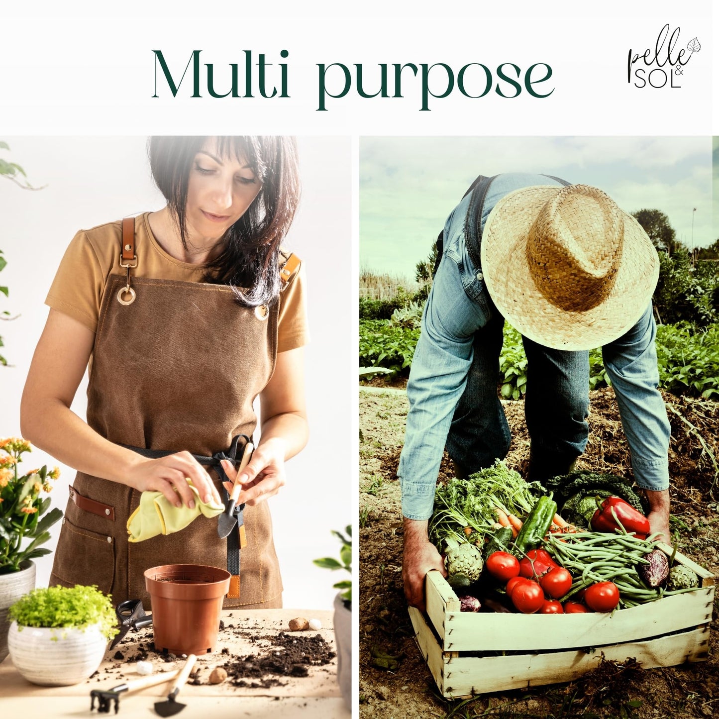 Pelle & Sol 60L Multi-Purpose Compost Soil - Potting Mix – Indoor Plant Soil - Use for Indoor Potting, Growing, Indoor Plants and General Planting Needs