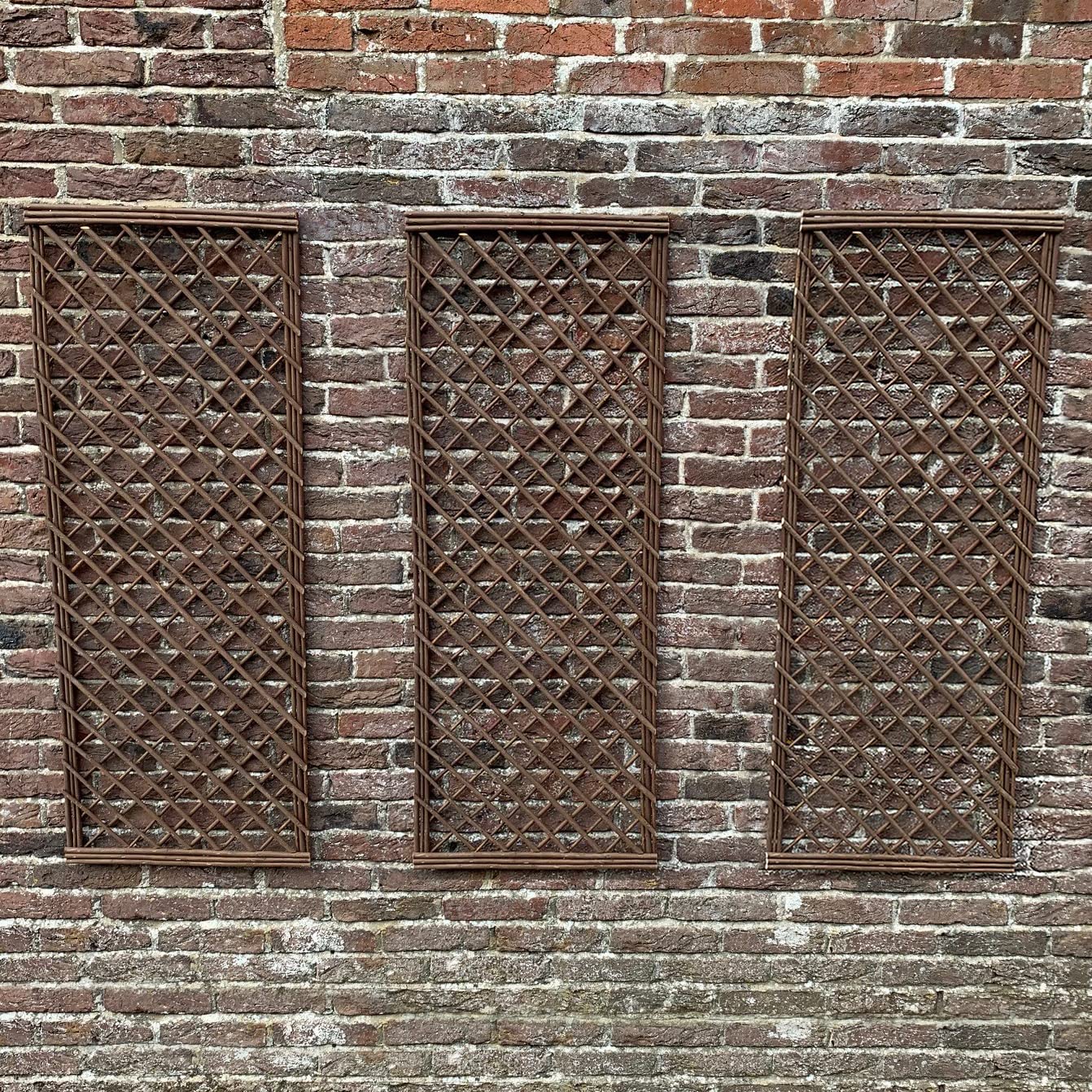 Selections Pack of 3 Willow Trellis Framed Panel (120 x 45 Centimeter)