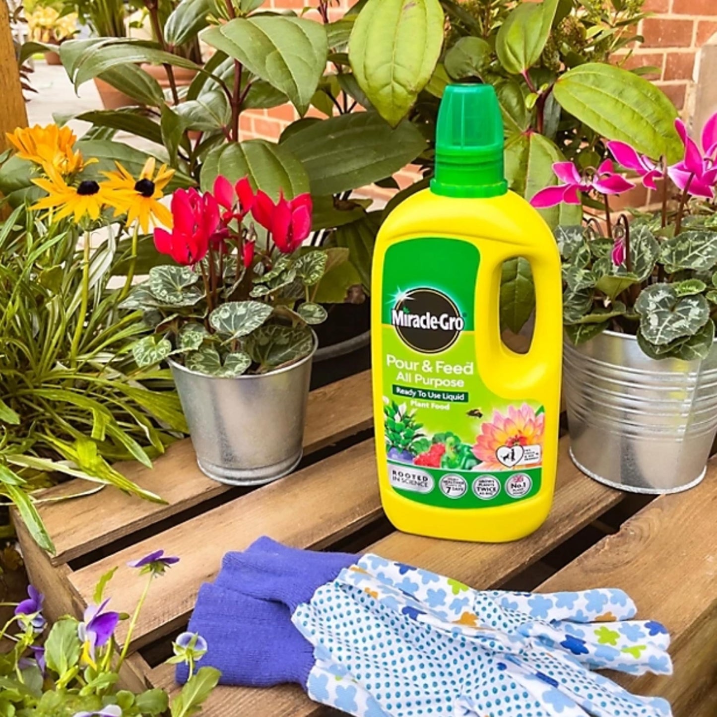 ZUKBEN Miracle Gro Plant Food Fertiliser - Pack of 2 x 1L Pour & Feed All Purpose Plant Feed Ready to Use Liquids with Card. Child & Pet Friendly Garden Fertilizer for Outdoor & Indoor House Plants