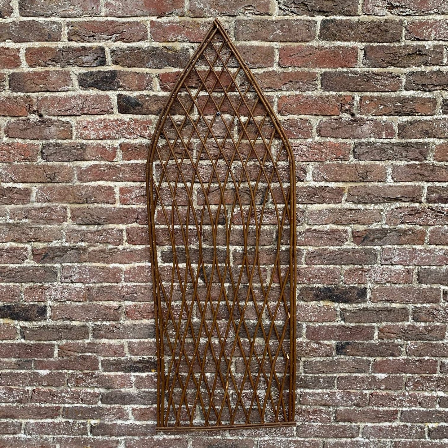 Pack of 3 Selections Willow Lattice Trellis With Gothic Top (120 x 45 Centimeter)