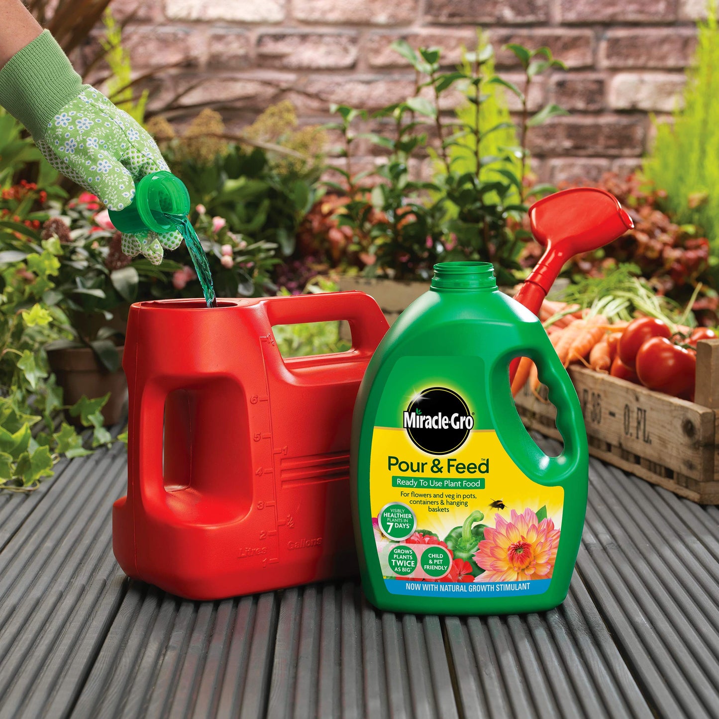 Miracle-Gro Pour & Feed Ready to Use Liquid Plant Food, 3 Litre