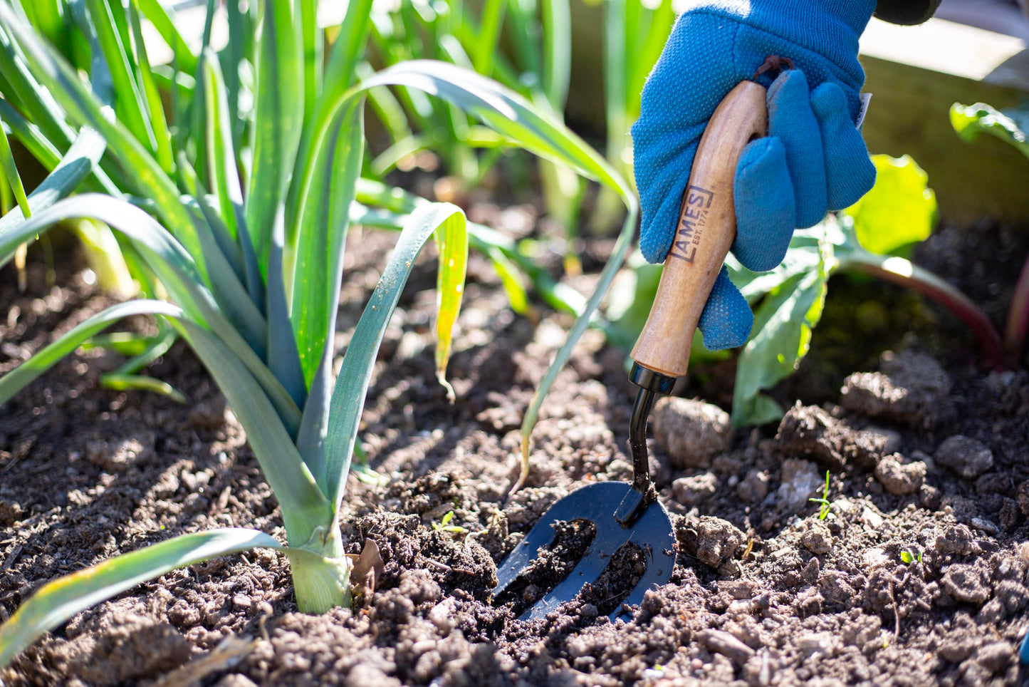 AMES Hand Fork - Carbon Steel