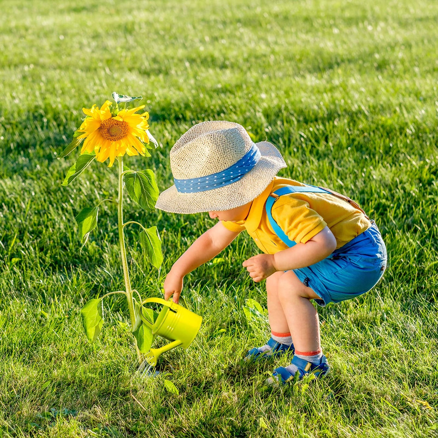Yardwe Watering Cans Childrens Water Can: Mini Small Kids Water Pots for Outdoor Indoor House Plants 5PCS (Random Color)