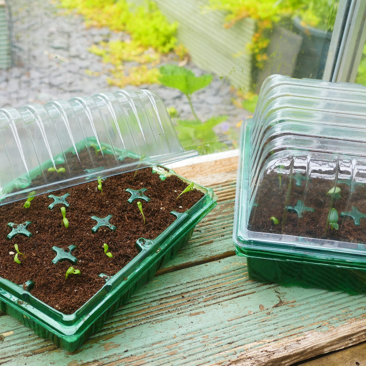 Gro-Sure 70200227 Visiroot twin Propagator Set kit, Green