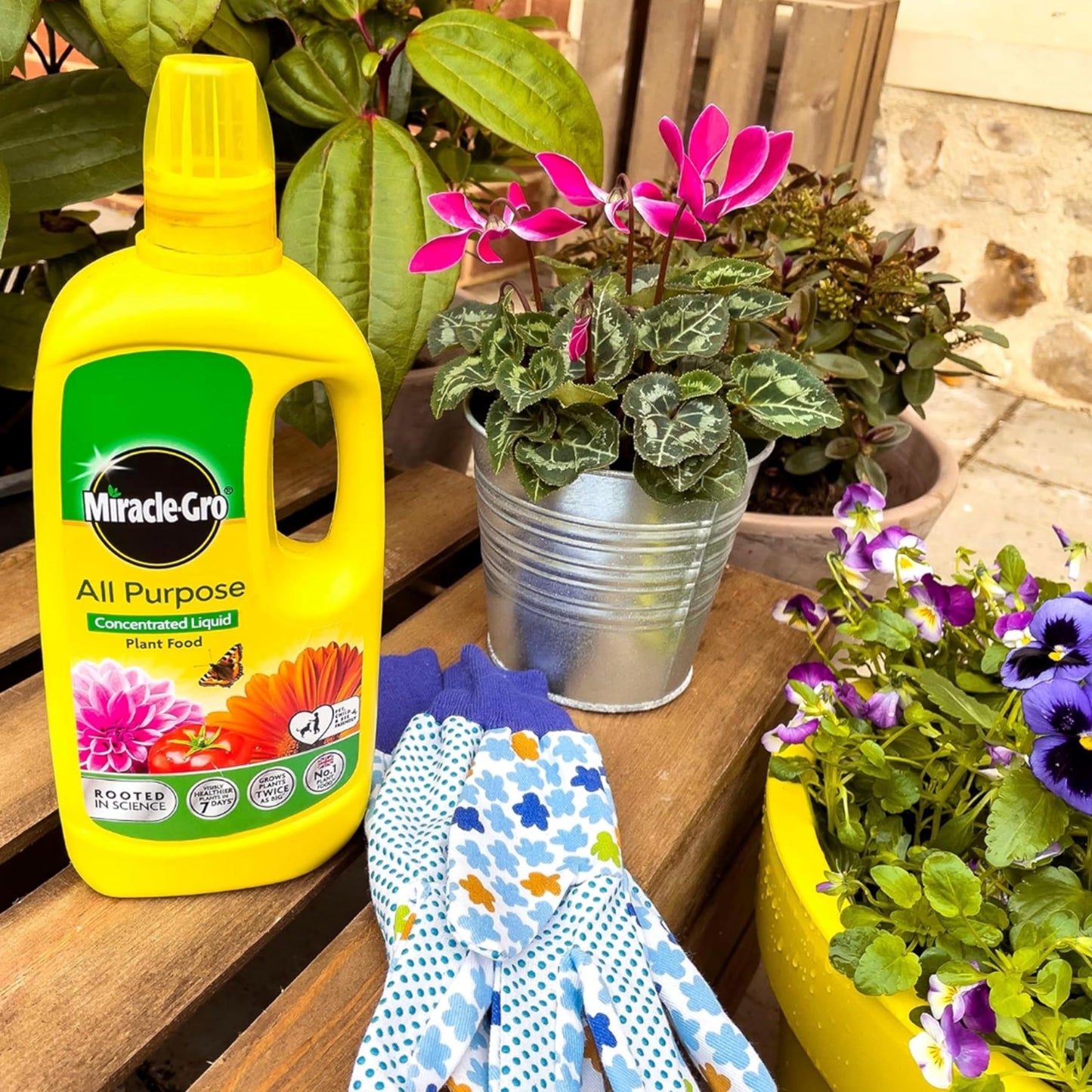 Miracle Gro Plant Food Fertiliser - Pack of 2x800ml All Purpose Plant Feed Concentrated Liquids with Topline Card. Child & Pet Friendly Garden Fertilizer for Outdoor & Indoor House Plants, Vegetables