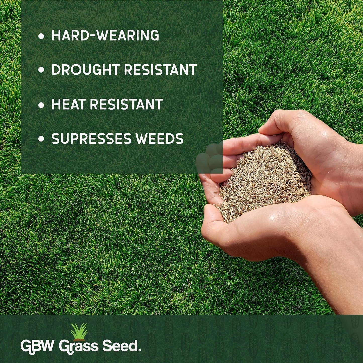 GBW Grass Seed 1kg - Covers up to 60 m2 (645 ft2) - Premium Quality Lawn Seed - Rapid Growth – Can Germinate as Quick as 10 days - Hard Wearing against Pet Urine - Tailored to UK Climate - 100% Refund