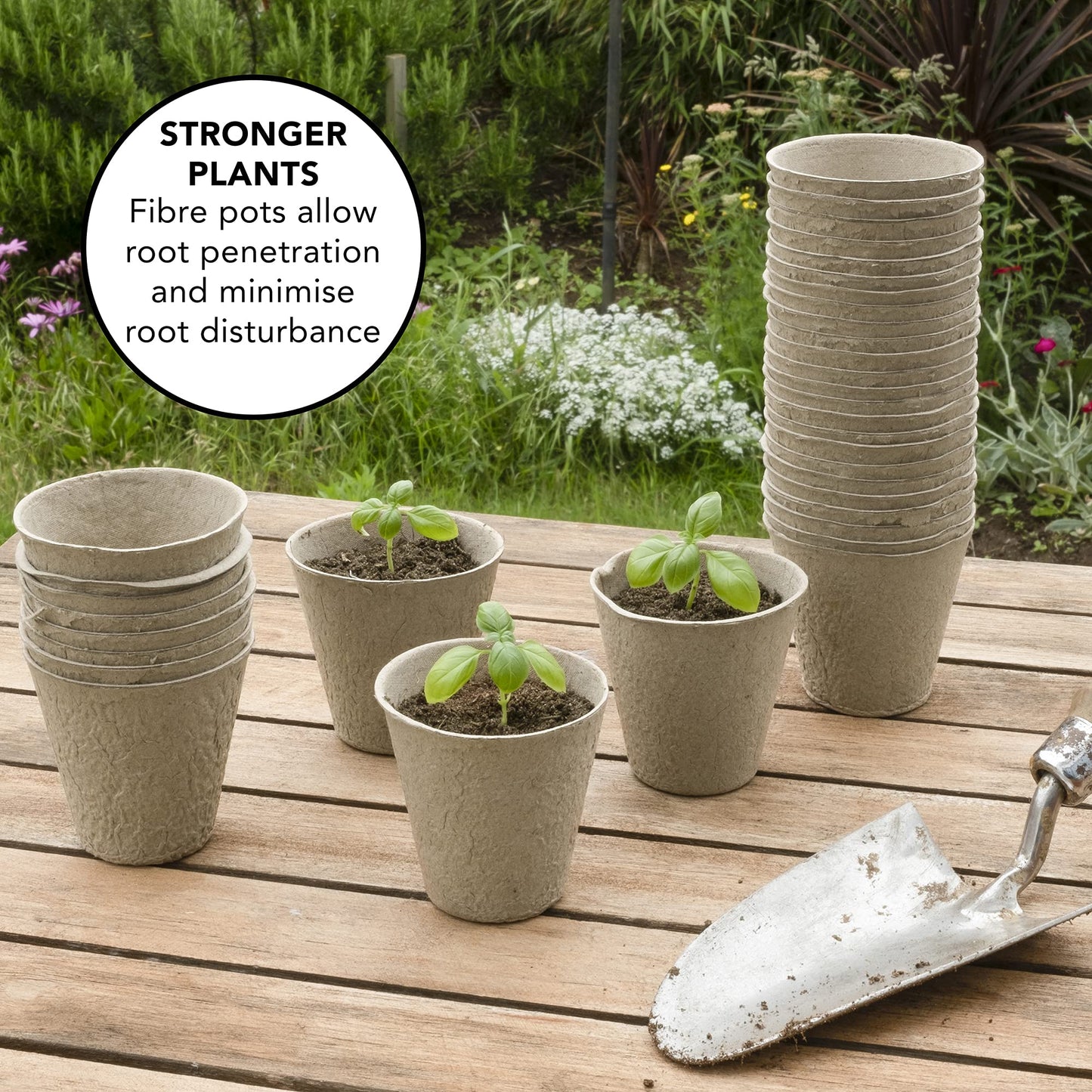Little Chiltern Co 70 pack Biodegradable Organic Fibre Seedling Pots for Plant | Round Fiber Plant Pots for Outdoor Indoor Growing Plants | Seed Starter Nursery Plant Pots | Eco-Friendly Planting Pots