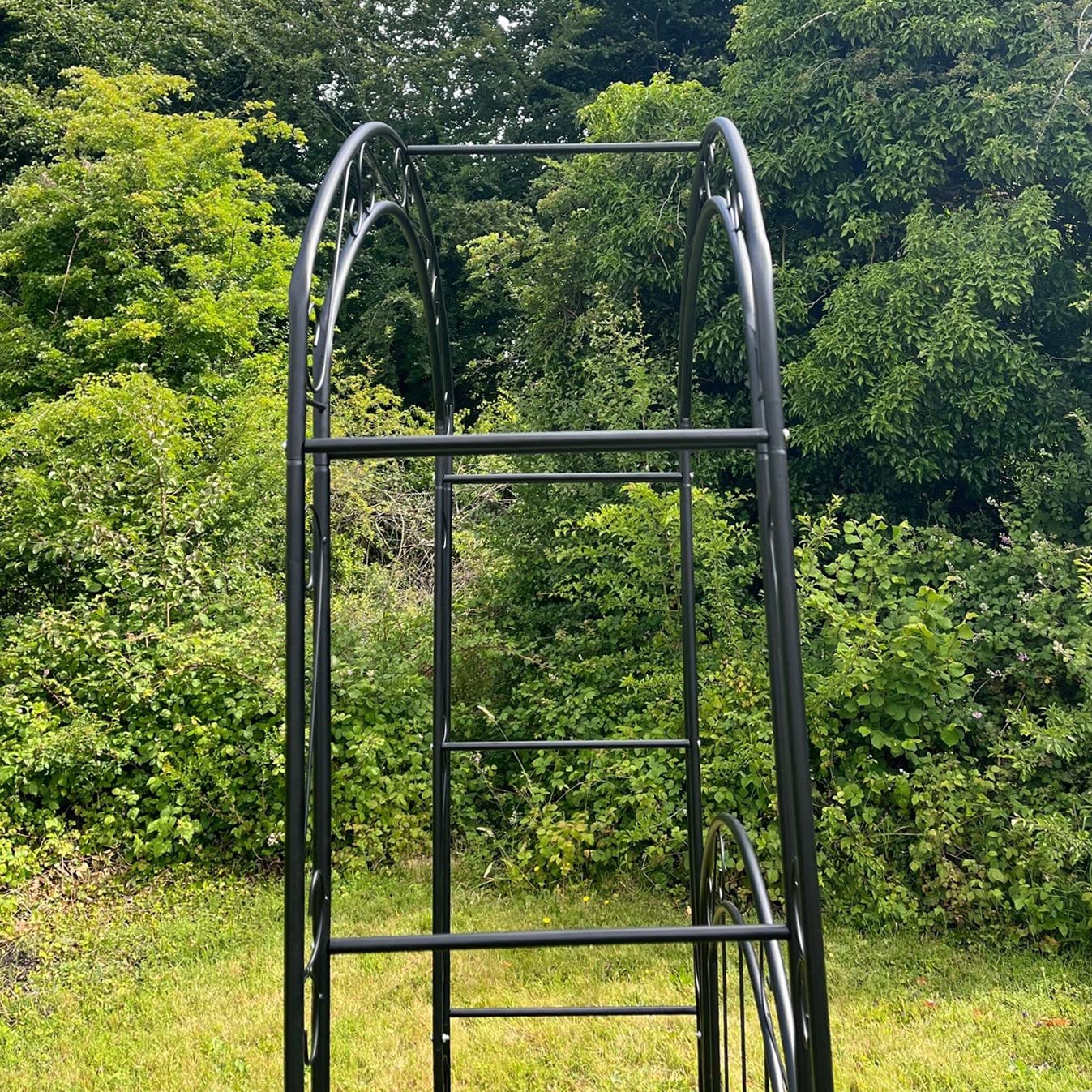 Selections Metal Windsor Garden Arch with Gate and Fixing Pegs