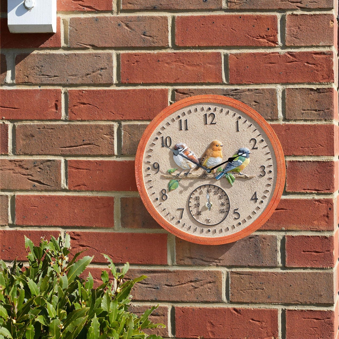 Smart Garden Outside In Birdwood Thermometer & Wall Clock