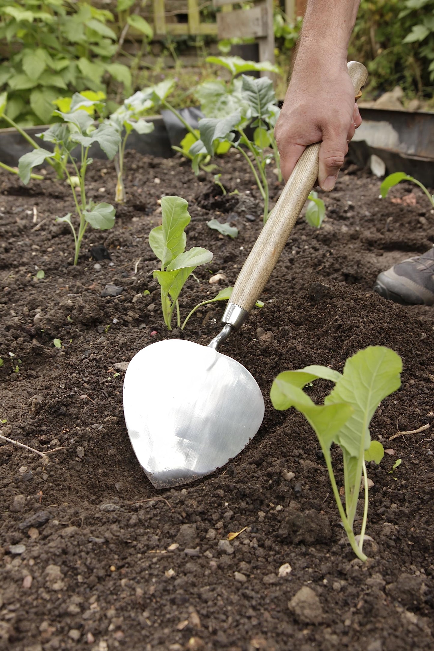 Spear & Jackson 5180KEW Kew Gardens Collection Dutch Style Trowel, Brown